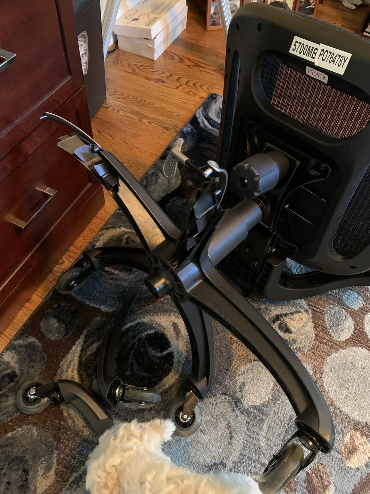 Office Star Ventilated Manager's Office Desk Chair with Breathable Mesh Seat and Back, Black Base, Black customer photo 2