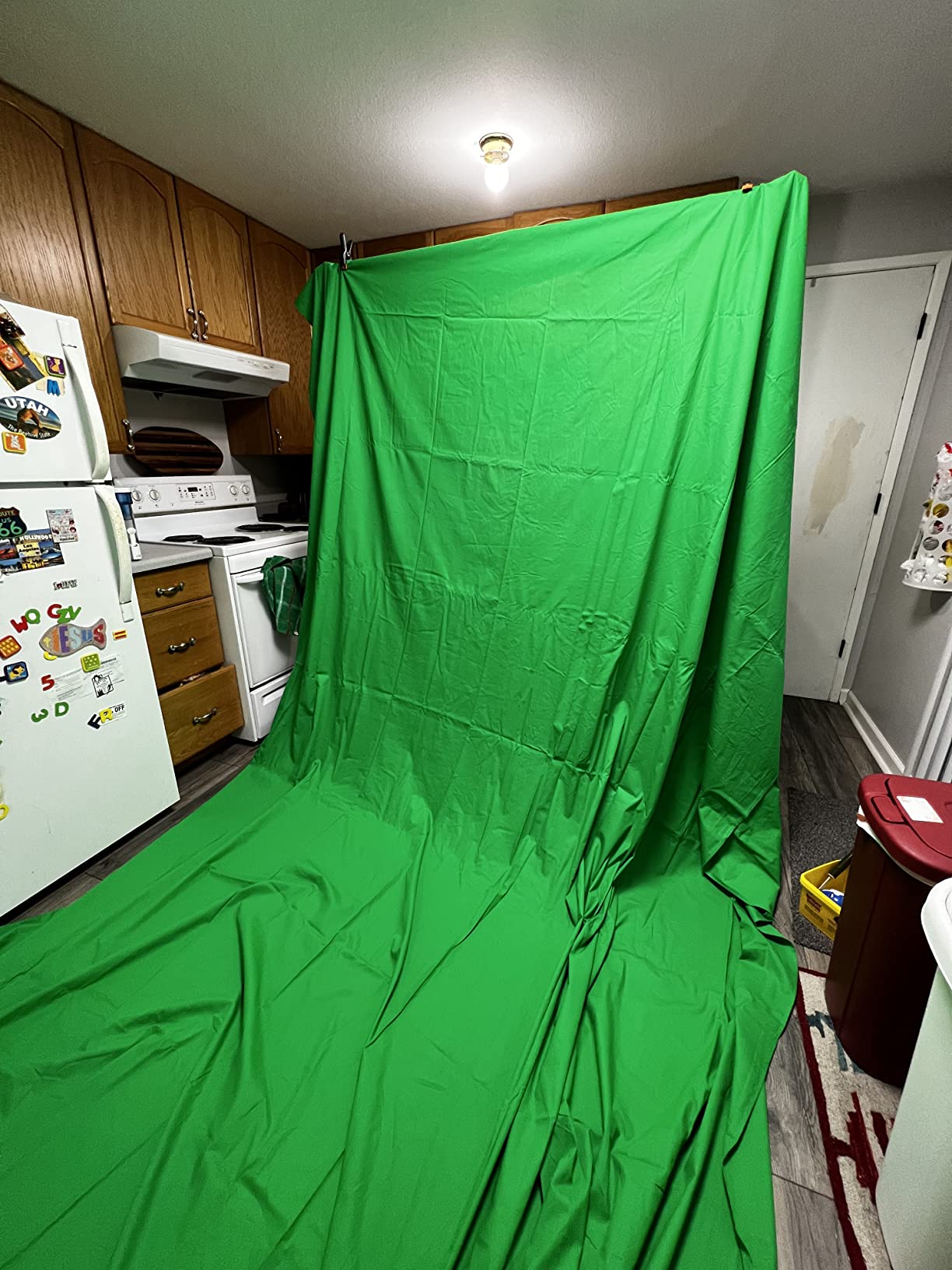 EMART Green Screen Backdrop Kit, 8.5x10FT Stand with 10x12FT Backdrop | Photography Background Support System with 100% Cotton Muslin Backdrop, 2Clamps for Photo Studio, Video Shooting, Live Stream customer photo 2