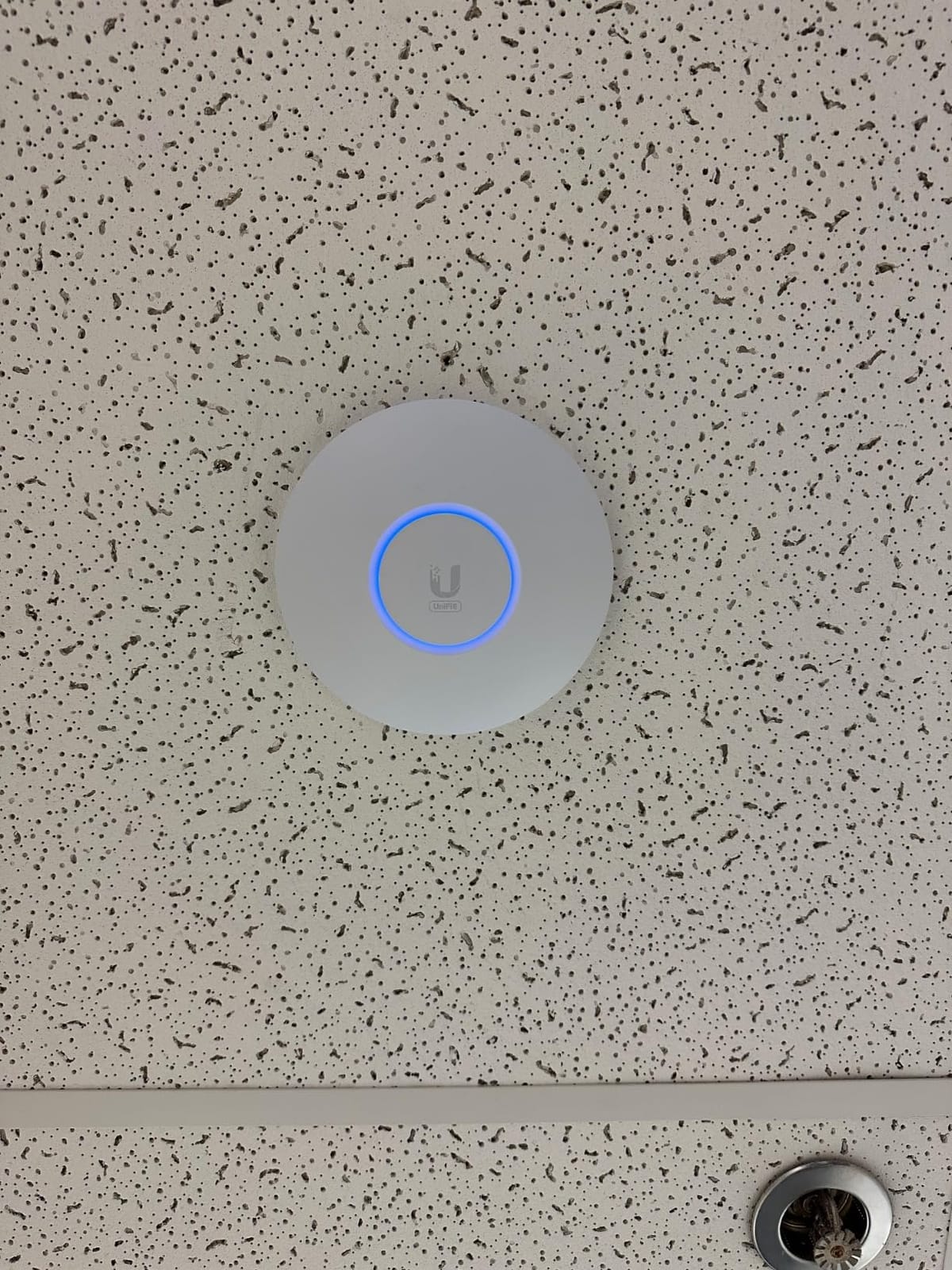 Ubiquiti UniFi 6 Lite Access Point | US Model | PoE Adapter not Included (U6-Lite-US) customer photo 1