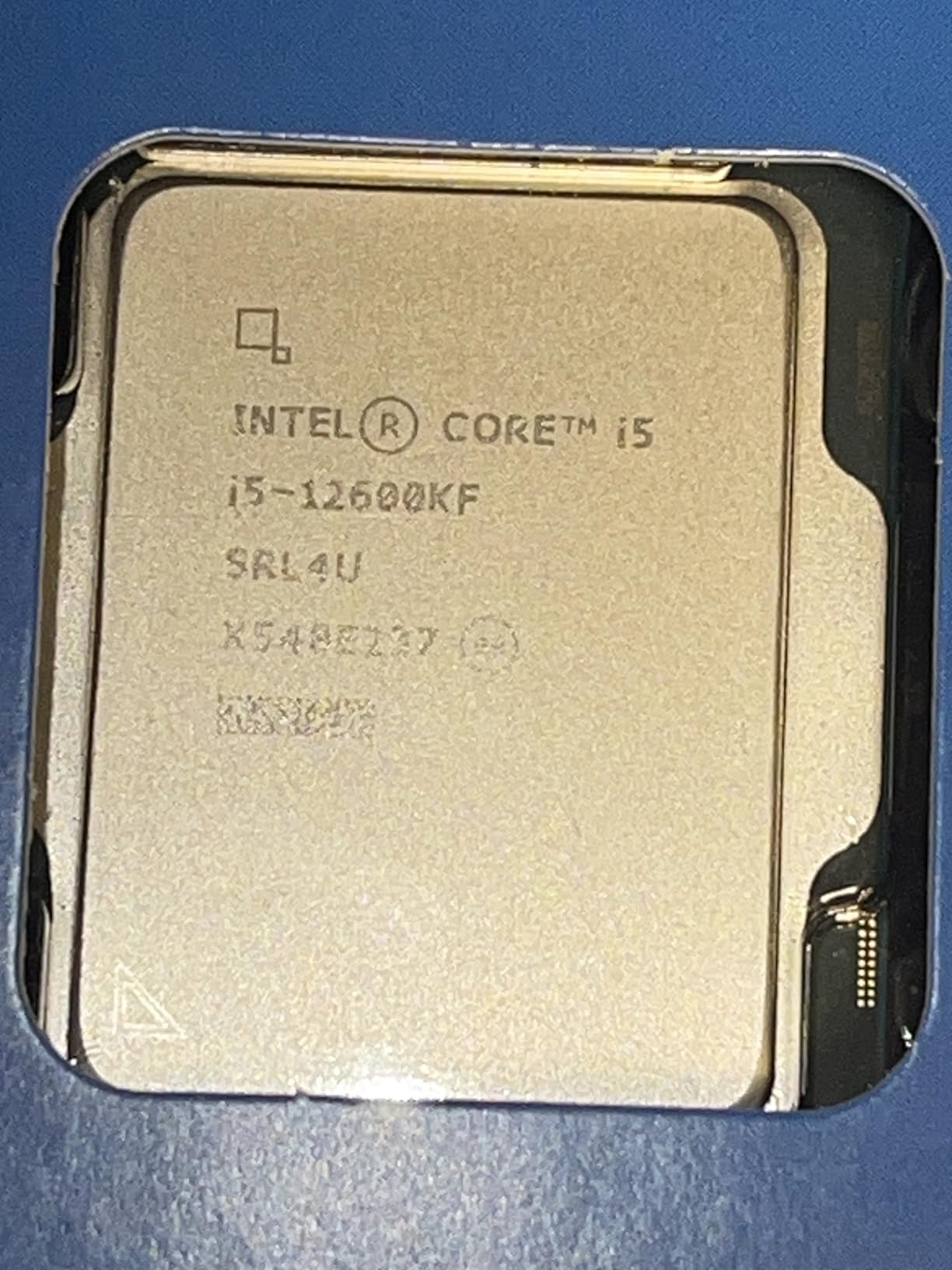 Intel Core i5-12600KF Desktop Processor 10 (6P+4E) Cores up to 4.9 GHz Unlocked LGA1700 600 Series Chipset 125W customer photo 1