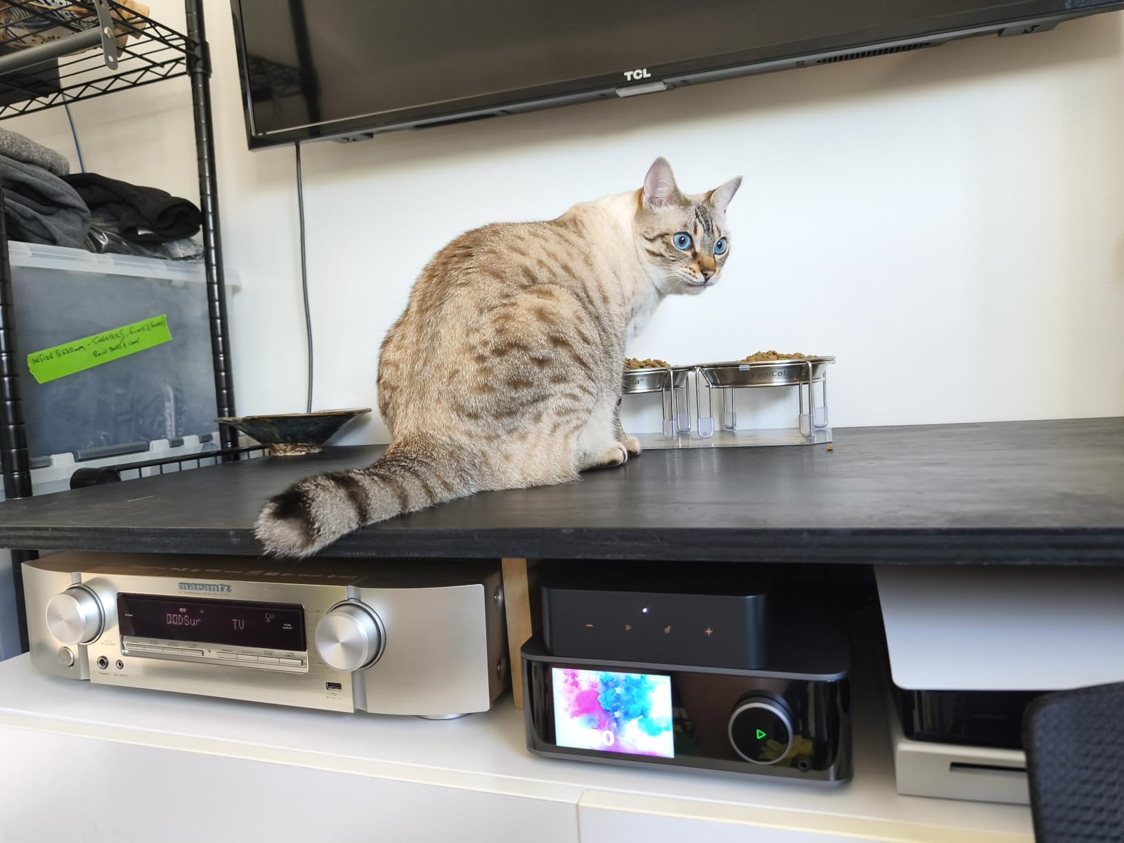 WiiM Pro Music Streamer to Upgrade Stereo with AirPlay 2, Spotify Connect | Hi-Res Streaming, AirPlay 2, Spotify Connect, Roon Ready, and Whole-Home Audio Control customer photo 2