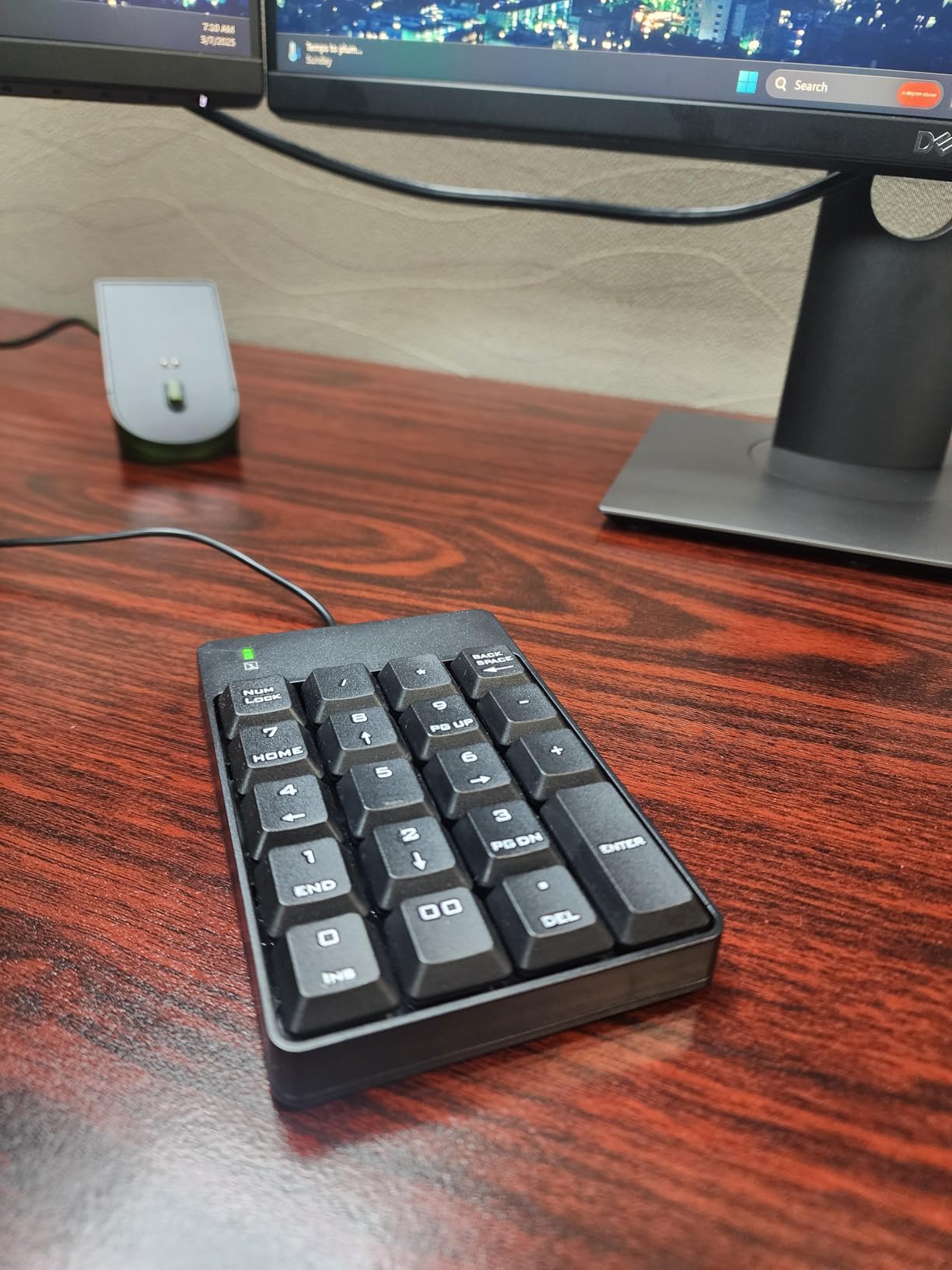 TechGarden Wired Number Pad, USB Numeric Keypad 19 Key Number Keypad Keyboard for Laptop PC Computer Notebook, Big Print Letters - Black customer photo 1