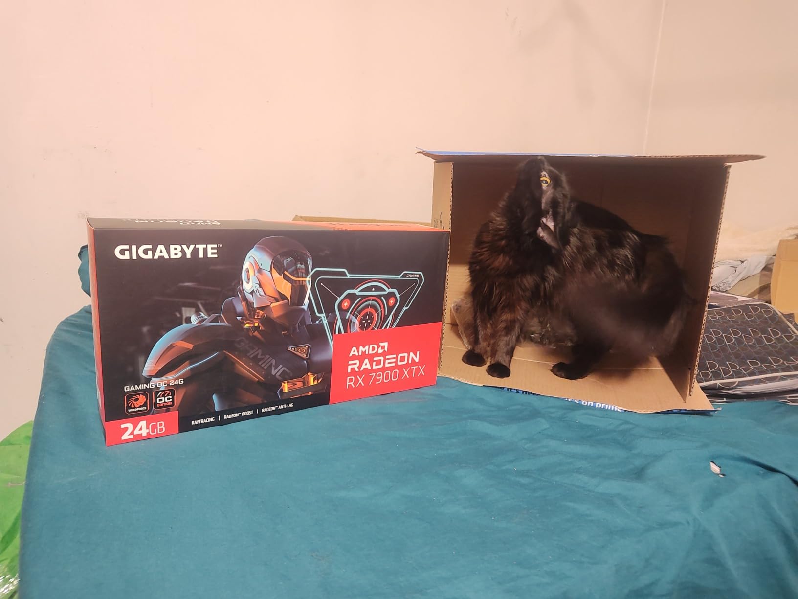 Gigabyte Radeon RX 7900 XTX Gaming OC 24G Graphics Card, 3X WINDFORCE Fans, 24GB 384-bit GDDR6 customer photo 1