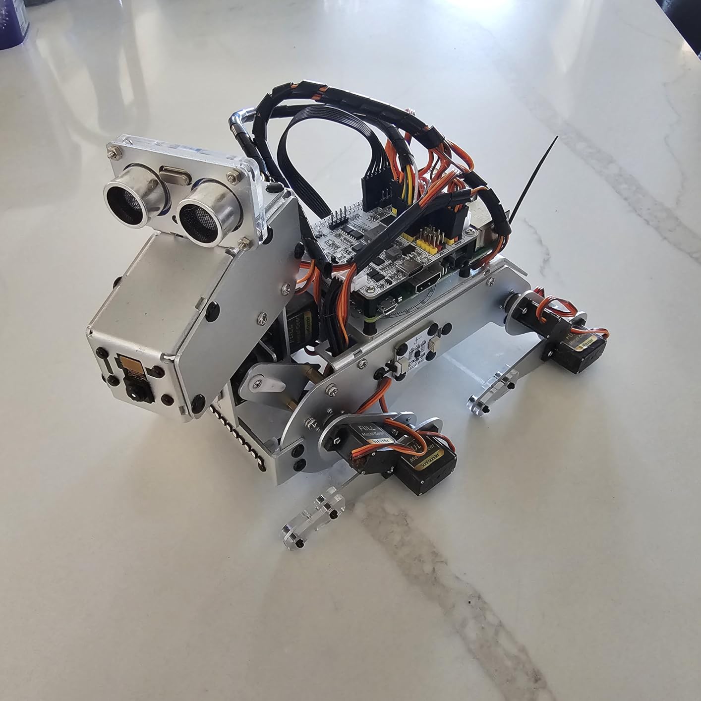 PiDog AI Robot Dog Kit for Raspberry Pi 5/4/3B+/Zero 2W, Openclaw LLMs ChatGPT/Gemini/Grok, Voice & Video Recognition, Python, App, Gyroscope, Camera (RPI NOT Included) customer photo 2