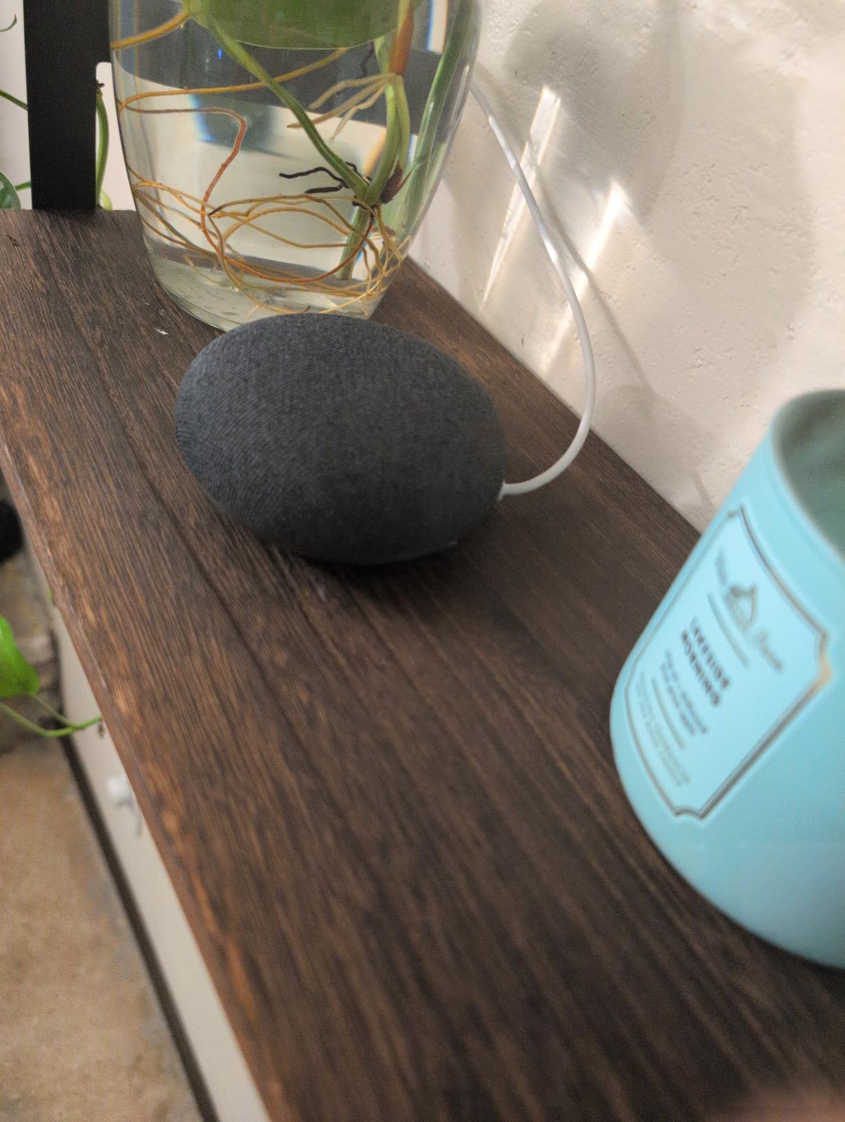 Google Nest Mini 2nd Gen - Bluetooth Speaker with English and Muliti Language Compatibility for Use Anywhere (Light Gray) customer photo 1