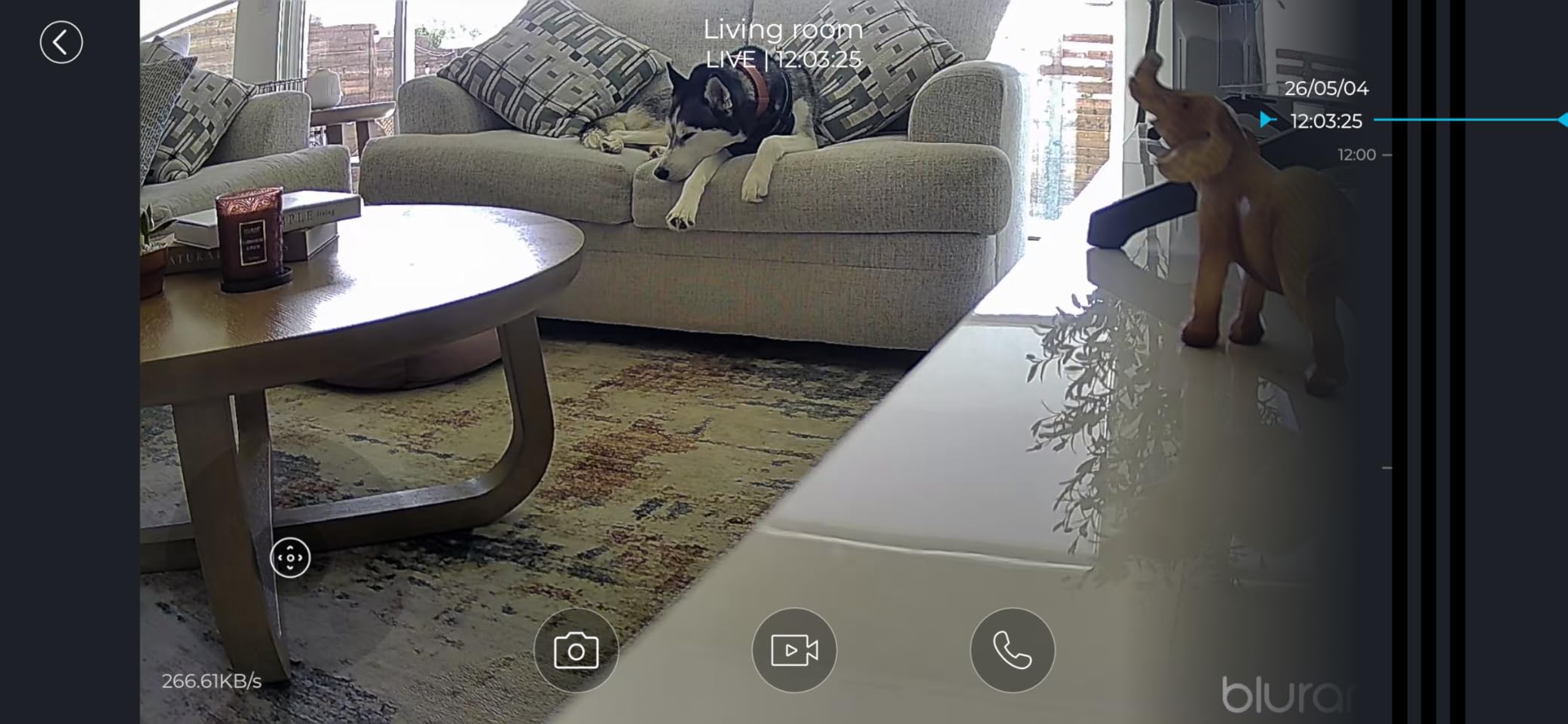 blurams 5G Cameras for Home Security, 360° PTZ Pet/Dog Indoor Camera, 2Pack | 2K, Dual-Band WiFi6, Free Human/Motion/Sound Detection, 2-Way Talk, Night Vision, Works with Alexa & Google Assistant customer photo 2