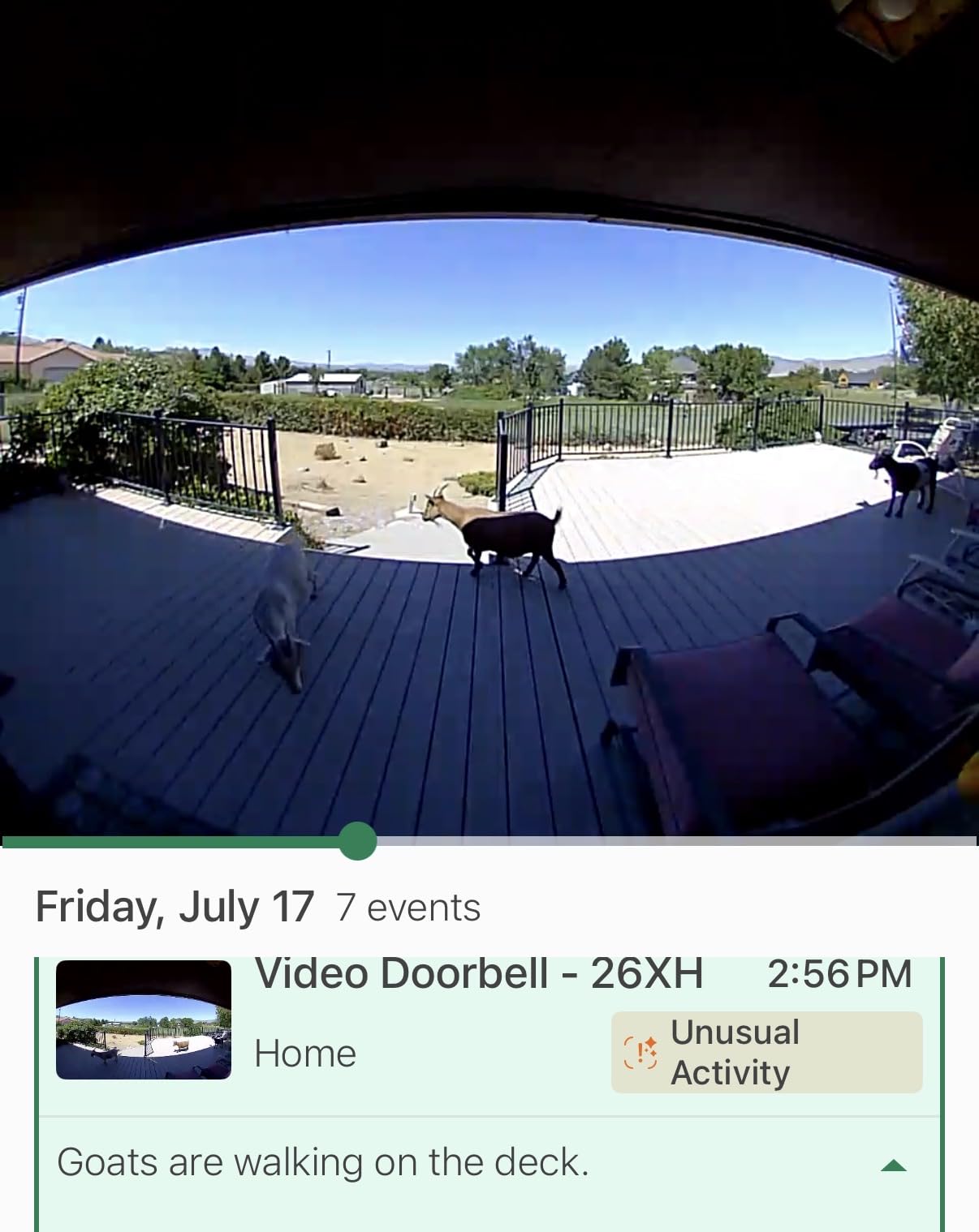 Blink Video Doorbell – Head-to-toe HD view, two-year battery life, and simple setup. Sync Module Core included – System (Black) customer photo 2