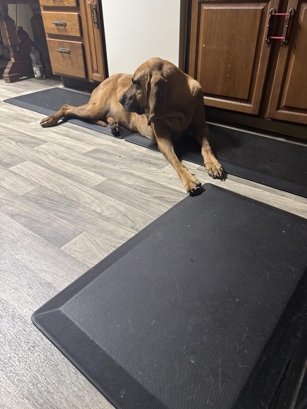Tyrot Extra Thick Anti Fatigue Mat for Kitchen Floor, 20x32, Black | 9/10 Inch Thick, Cushioned Standing Desk Mat, Memory Foam Ergonomic, Non-Slip Comfort Waterproof Rug for Office, Sink, Garage customer photo 1
