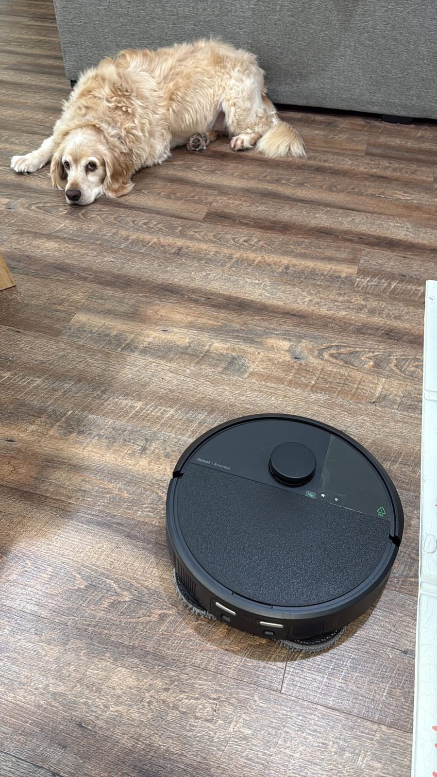 iRobot Roomba Plus 405 (G181) 2in1 Vacuum & Mop Robot with AutoWash Dock - Dual Spinning, Smart & Fast Mapping, Ideal for Pet Hair, Self-Empties 75 Days, Intense Suction, Pad Washing & Drying customer photo 1