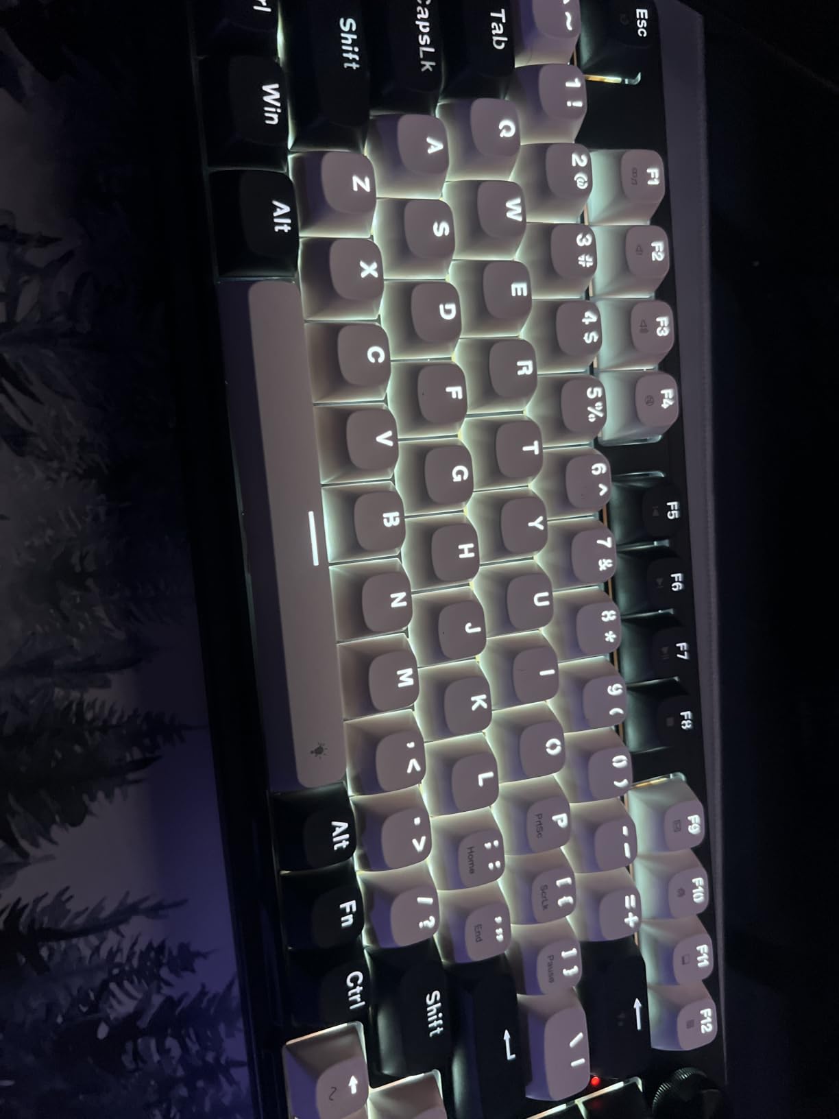 Redragon K673 HE Wired Hall-Effect Rapid Trigger Magnetic Gaming Keyboard customer photo 2