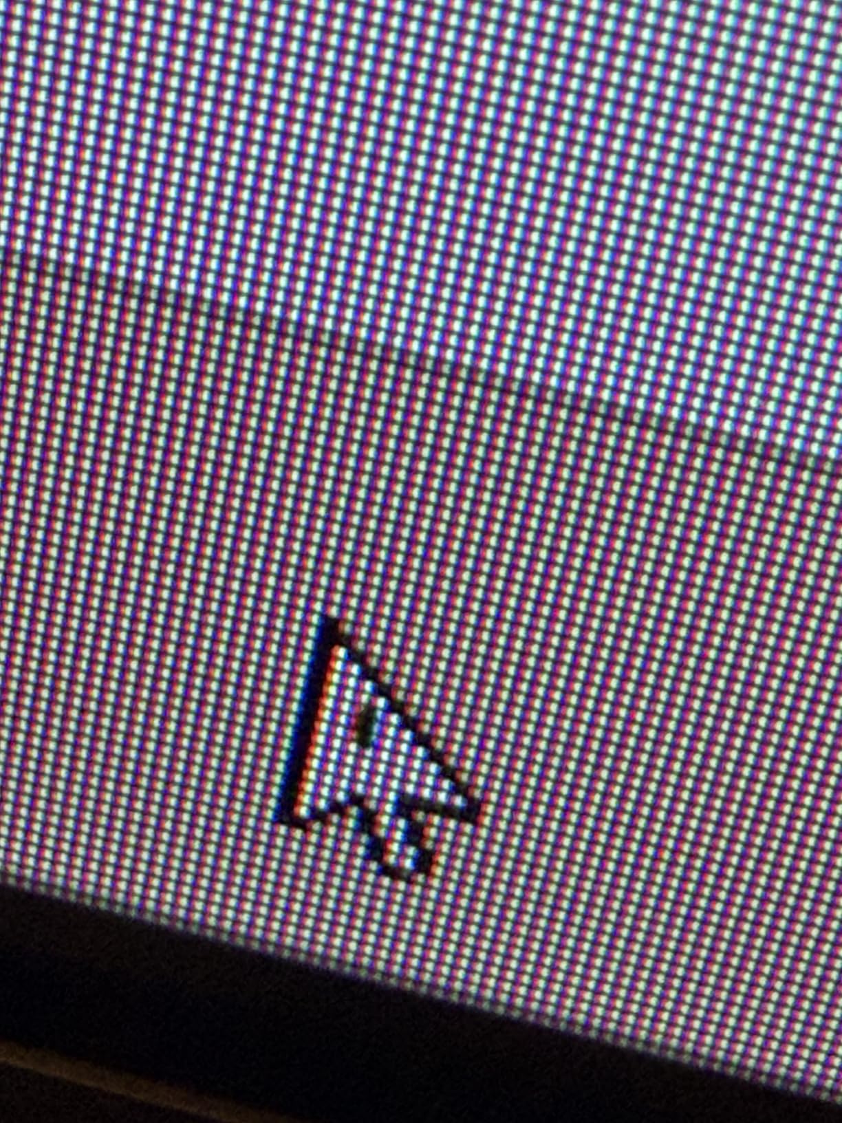 Dell UltraSharp 34 Curved Thunderbolt Hub Monitor - U3426WER customer photo 2