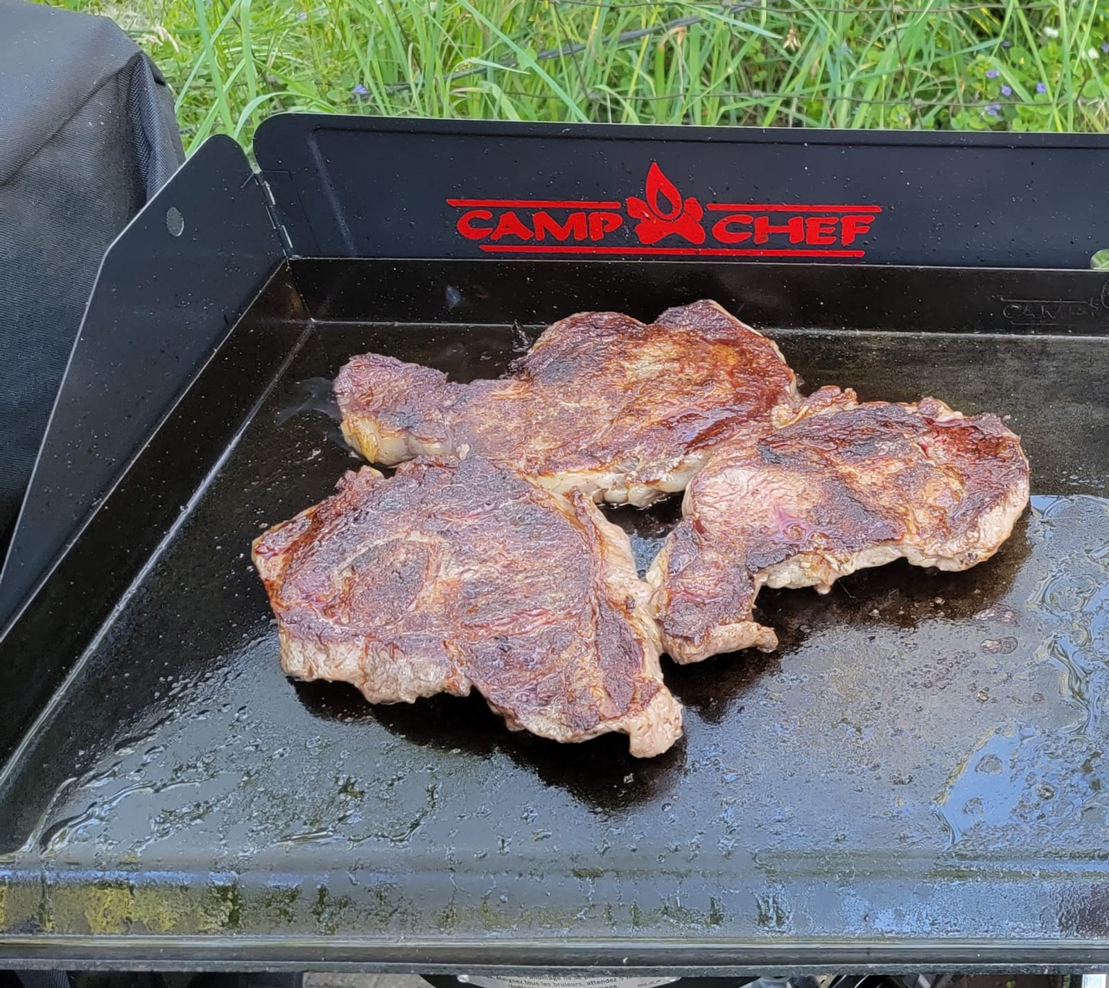 Camp Chef Professional Fry Griddle, 14