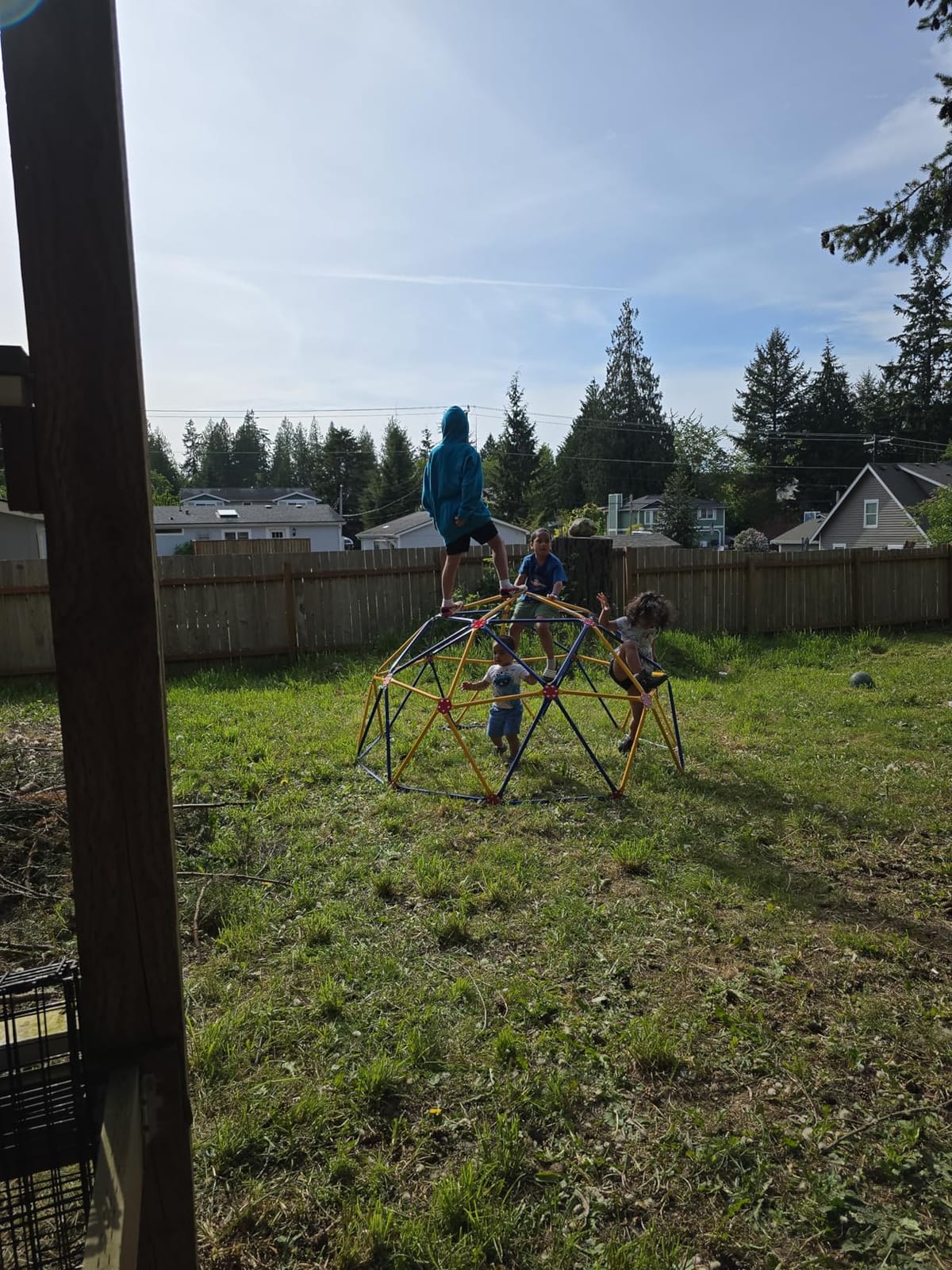 EASY OUTDOOR Space Dome Climber for Kids Backyard Jungle Gym 1000 lb GD-810 customer photo 2