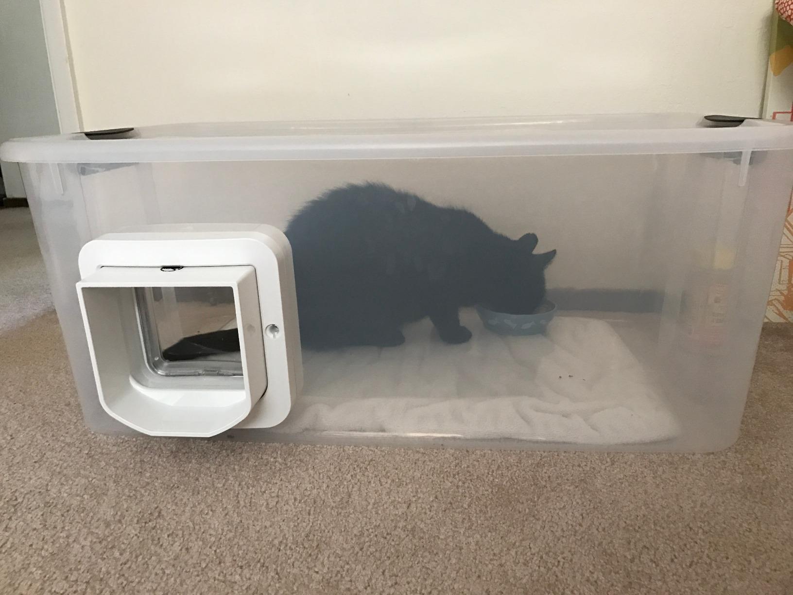 SureFlap - Sure Petcare Microchip Cat Flap, White, Scans Pet's ID on Entry, Check Your Cat's Size,Flap Opening is 4 3/4” (H) by 5 5/8” (W) customer photo 2
