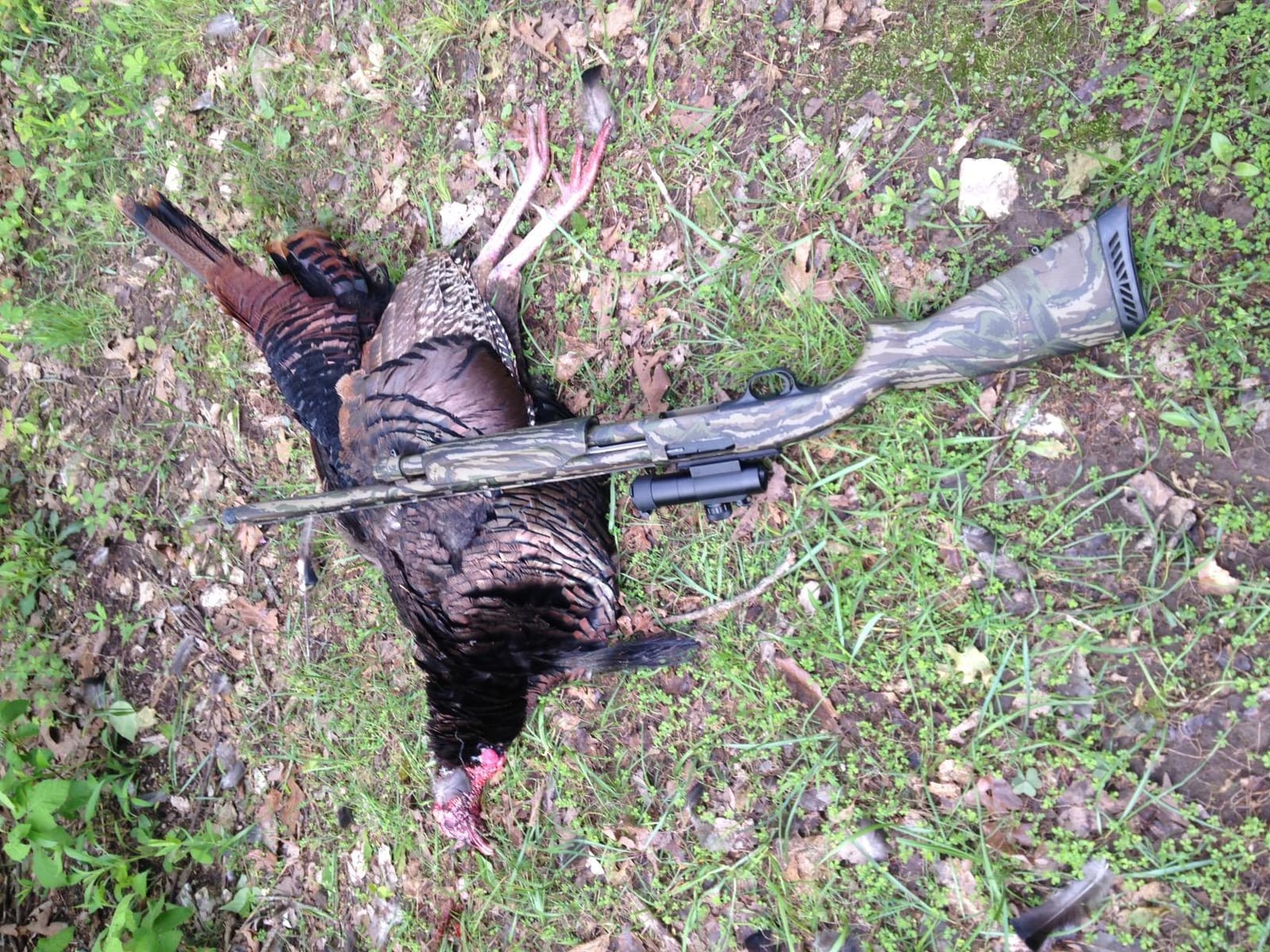 Truglo Gobble Stopper 30MM Turkey Sight for Hunting, 3MOA customer photo 1