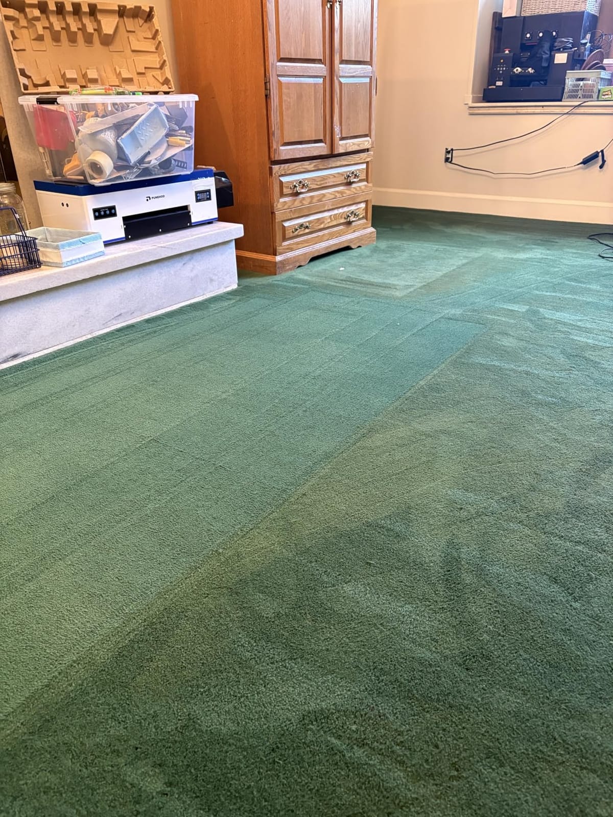 BISSELL Big Green Professional Carpet Cleaner, XL DirtLifter PowerBrush customer photo 2