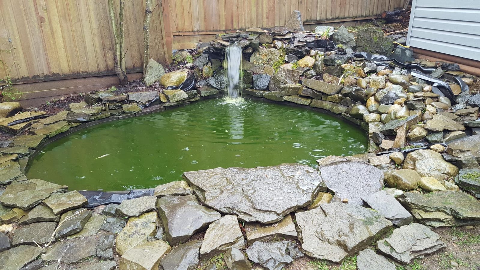 Active Aqua Submersible Water Pump, 1000 GPH, Magnetic Drive, Hydroponic customer photo 1