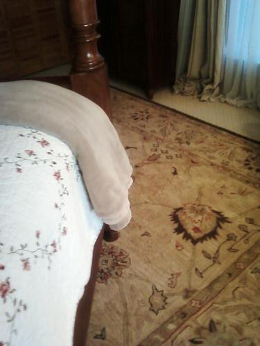 SAFAVIEH Anatolia Collection Area Rug - 9'6