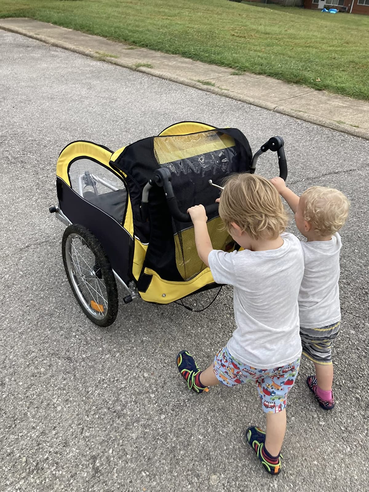 Aosom Elite 360 Swivel Bike Trailer for Kids Double Child Two Wheel customer photo 1