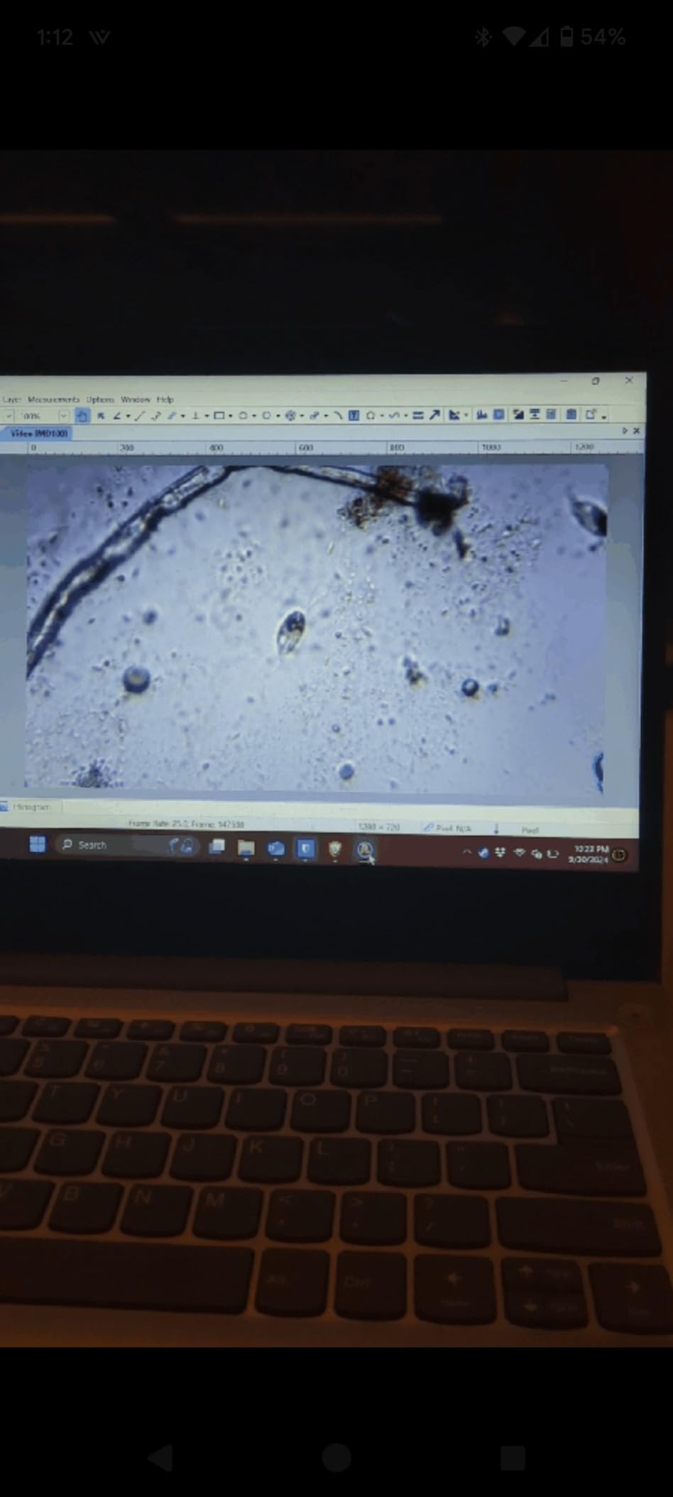 AmScope Rotating Monocular Compound Microscope, 40X-1000X Magnification customer photo 1