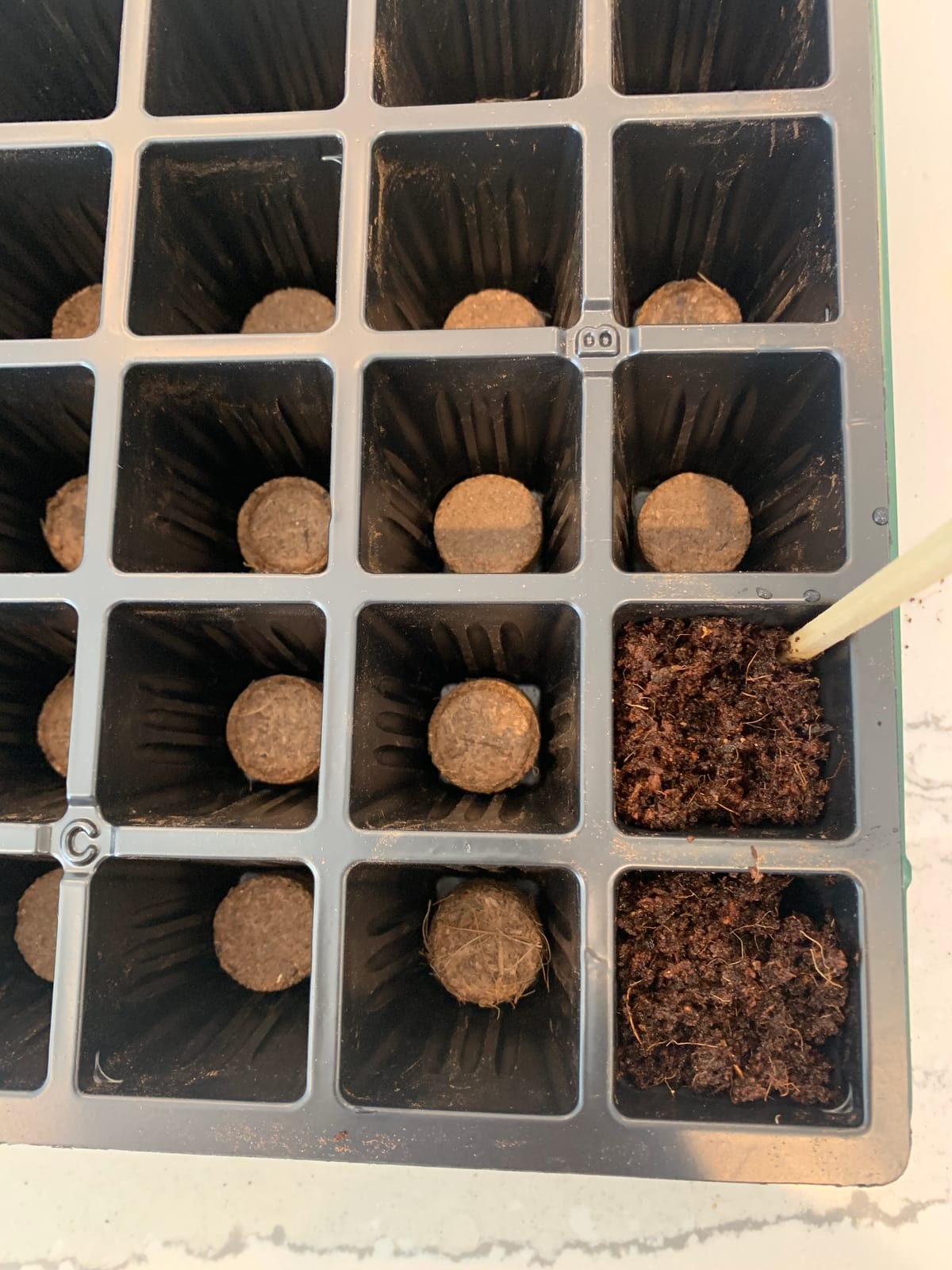 Burpee 72 Cell Seed Starting Kit with Greenhouse Dome and Coir Pellets customer photo 2