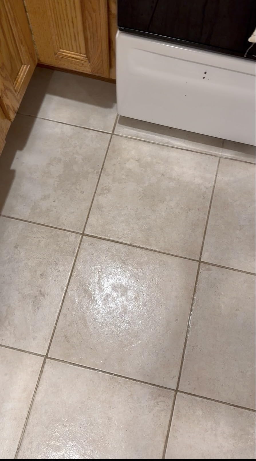 BISSELL Steam Mop 1940A PowerFresh Floor Steam Cleaner for Hard Wood & Tile with Natural Sanitization, Easy Scrubber, Variable Steam, 12” Cleaning Path customer photo 2
