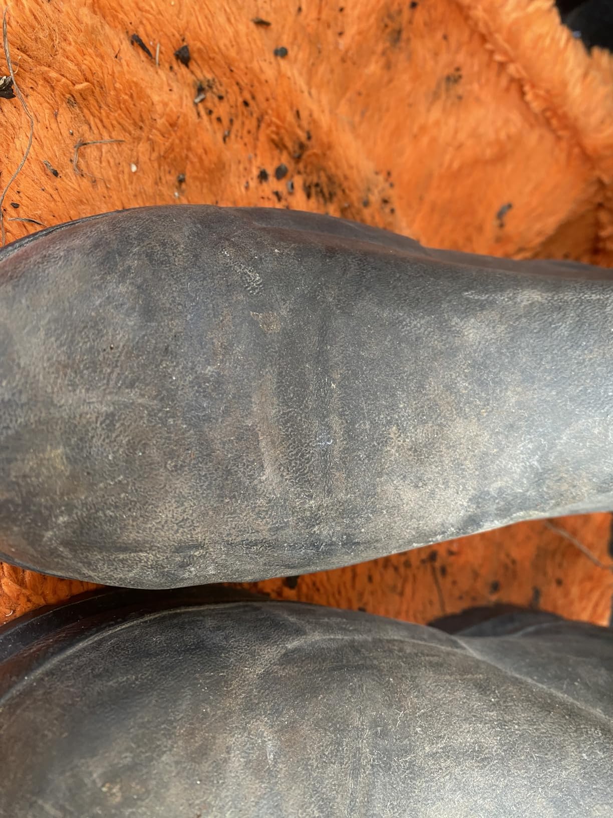 MUCK Men's Chore Met Guard Work Boots customer photo 2