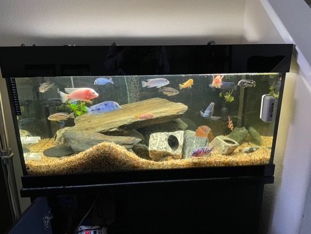 Super Sun Submersible Aquarium Power Head, 317 GPH customer photo 2