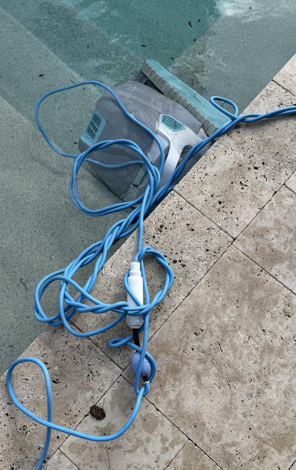 Dolphin Automatic Robotic Pool Vacuum Cleaner, Wall Climbing Scrubber Brush, Smart Navigation, Ideal for In-Ground Pools up to 40FT in Length - Nautilus CC Plus customer photo 2