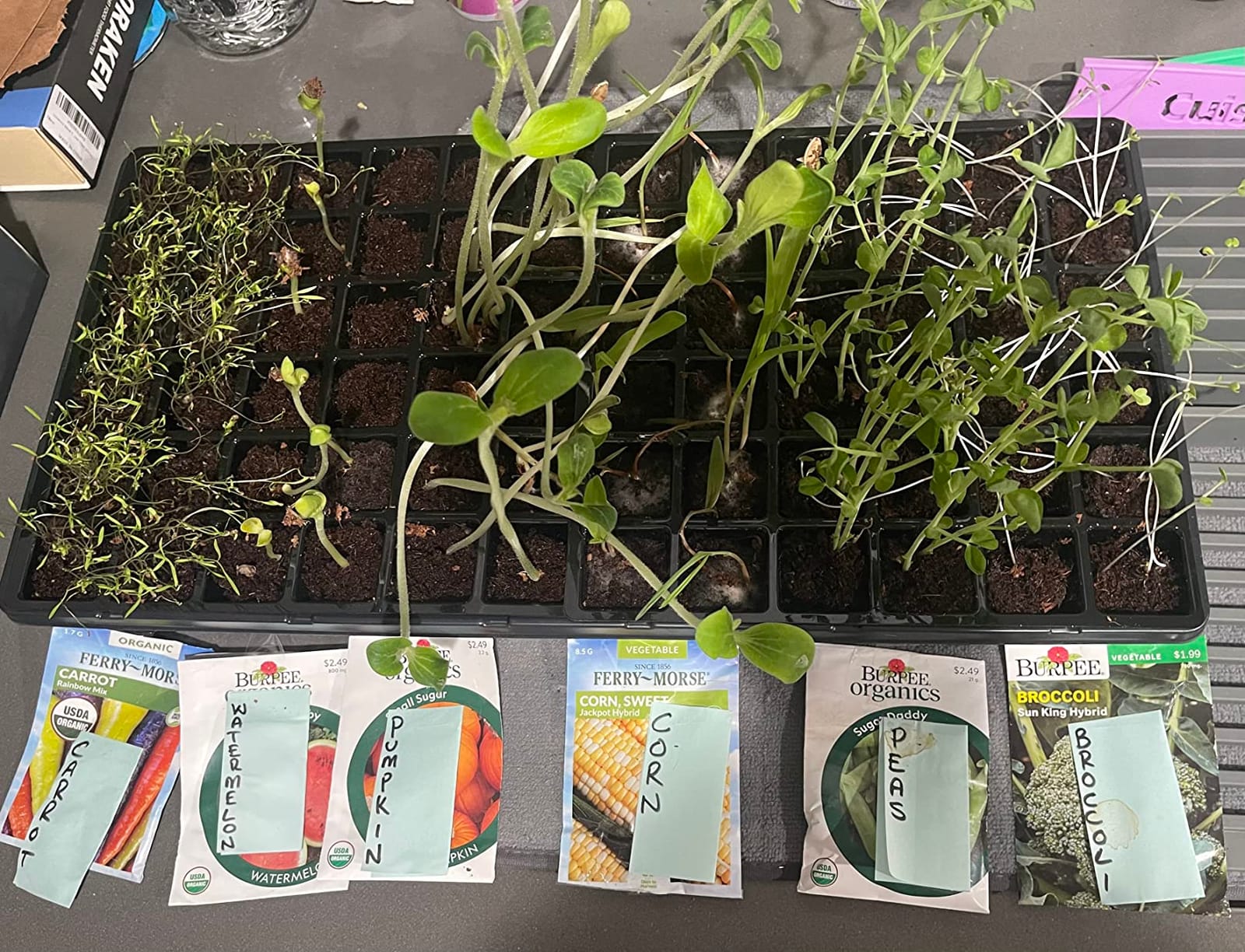 Burpee XL Self-Watering Growing System Indoor Seed Starting 10