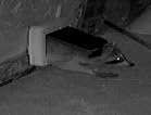 Cat Mate Microchip activated Cat Flap | for up to 30 Cats, Brown customer photo 1