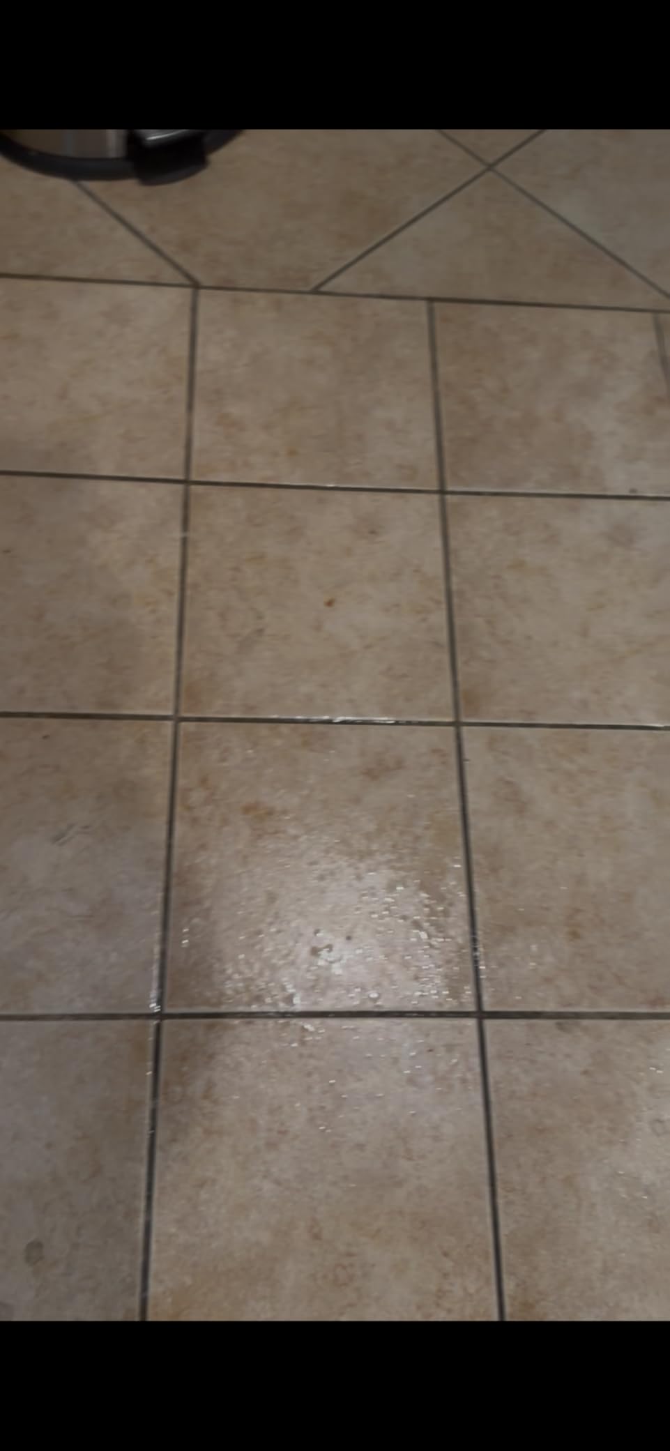 Bissell Commercial BigGreen BGFS650 Hercules Scrub and Clean Floor Machine, Green customer photo 2