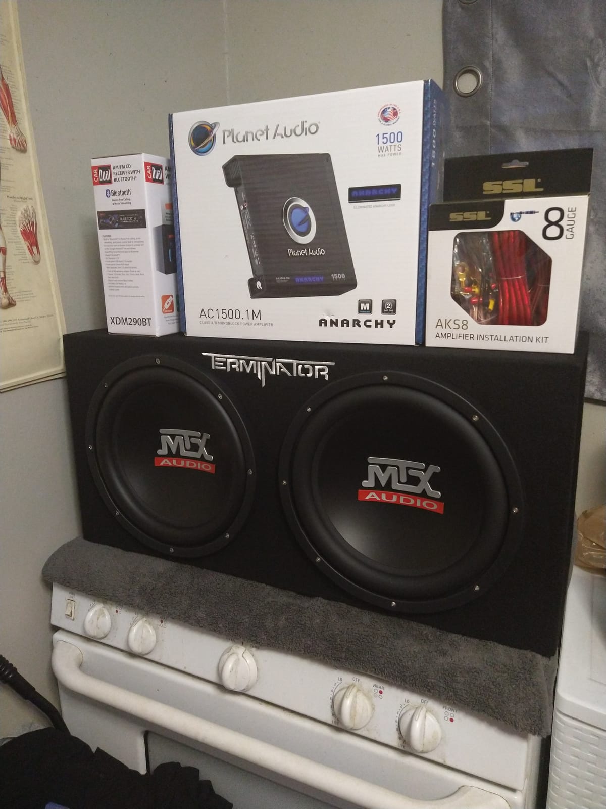 MTX Terminator Dual 12