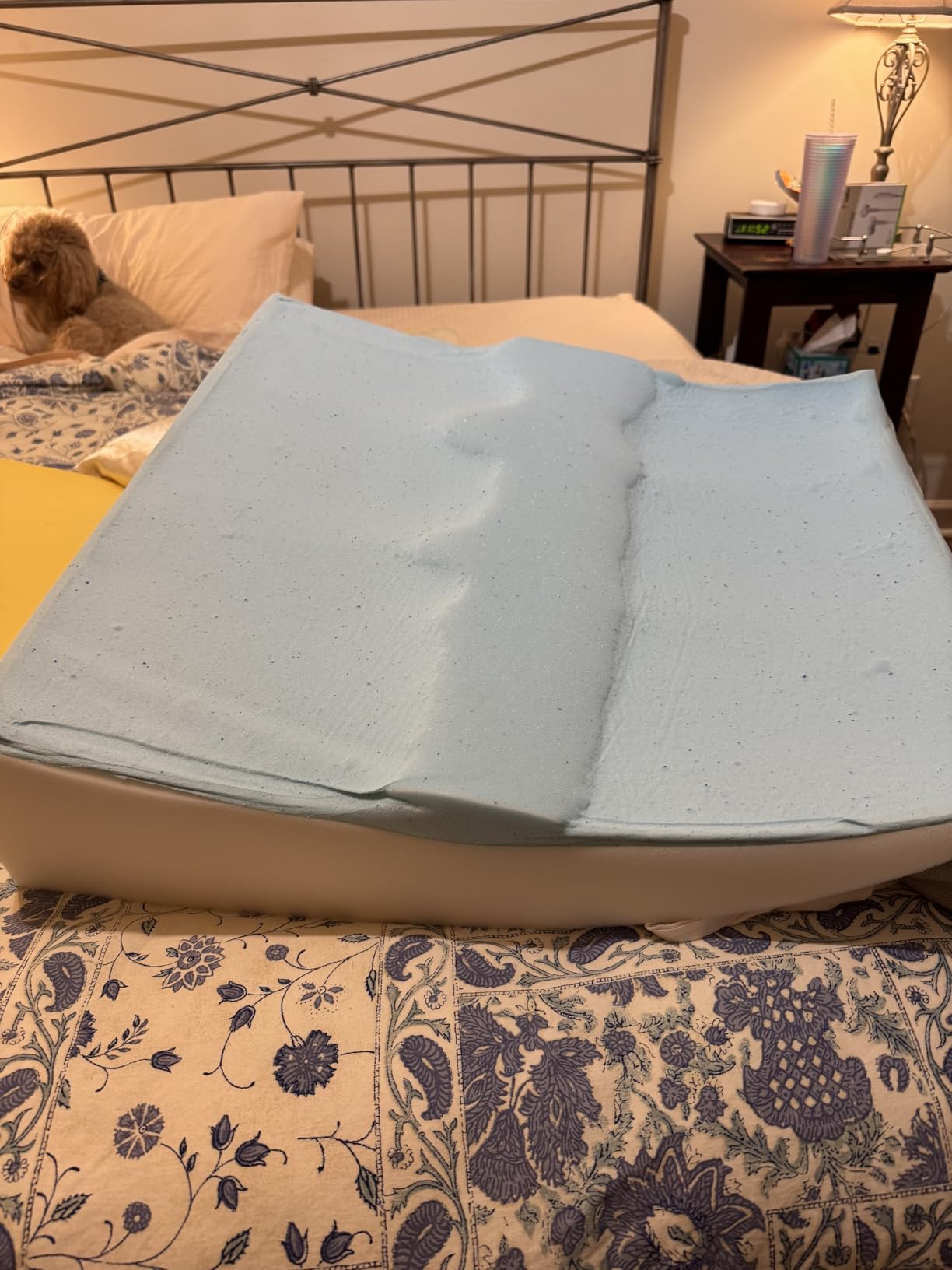 7.5 Inch Bed Wedge Pillow for Acid Reflux or Sleeping | 1.5 Inch Memory Foam Top with Stay Cool Cover | Incline Leg Elevation Pillows | Ideal for Gerd, Heartburn, and Snoring (25