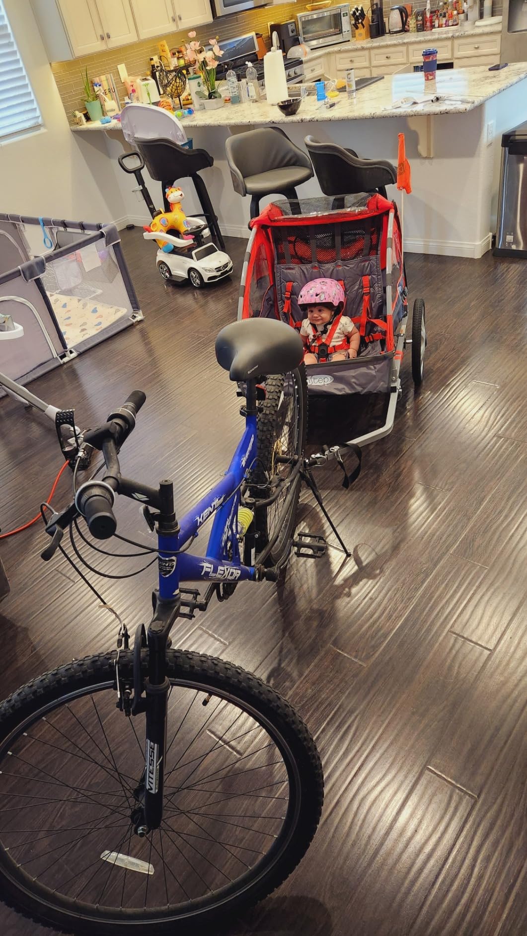 Instep Take 2 Double Seat Bike Child Trailer, Max Weight 80 lbs., 5-Point Harness, Folding Frame, Quick Release Wheels, Bug Screen & Weather Shield, Red customer photo 2