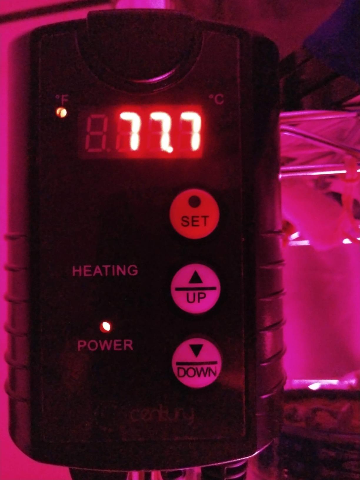 BN-LINK Reptile Thermostat Temperature Controller, Digital Heat Mat Thermostat for Seed Starting, Plant Germination, Greenhouse, Incubator, Brooder, Brewing, Reptiles Tank,40-108°F, 1000W, ETL Listed customer photo 1