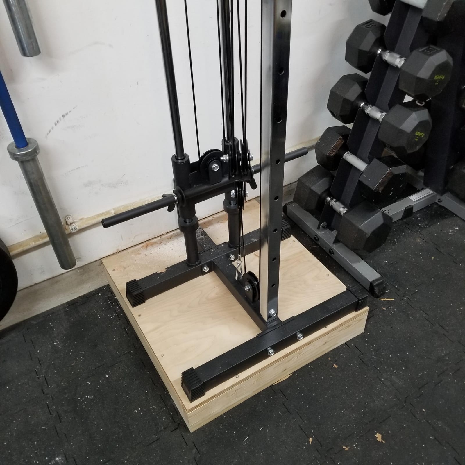 Valor Fitness Wall Mounted Cable Machine, Dual Adjustable Pulley System with 16 Height Positions, Space-Saving Home Gym Strength Training Equipment customer photo 1