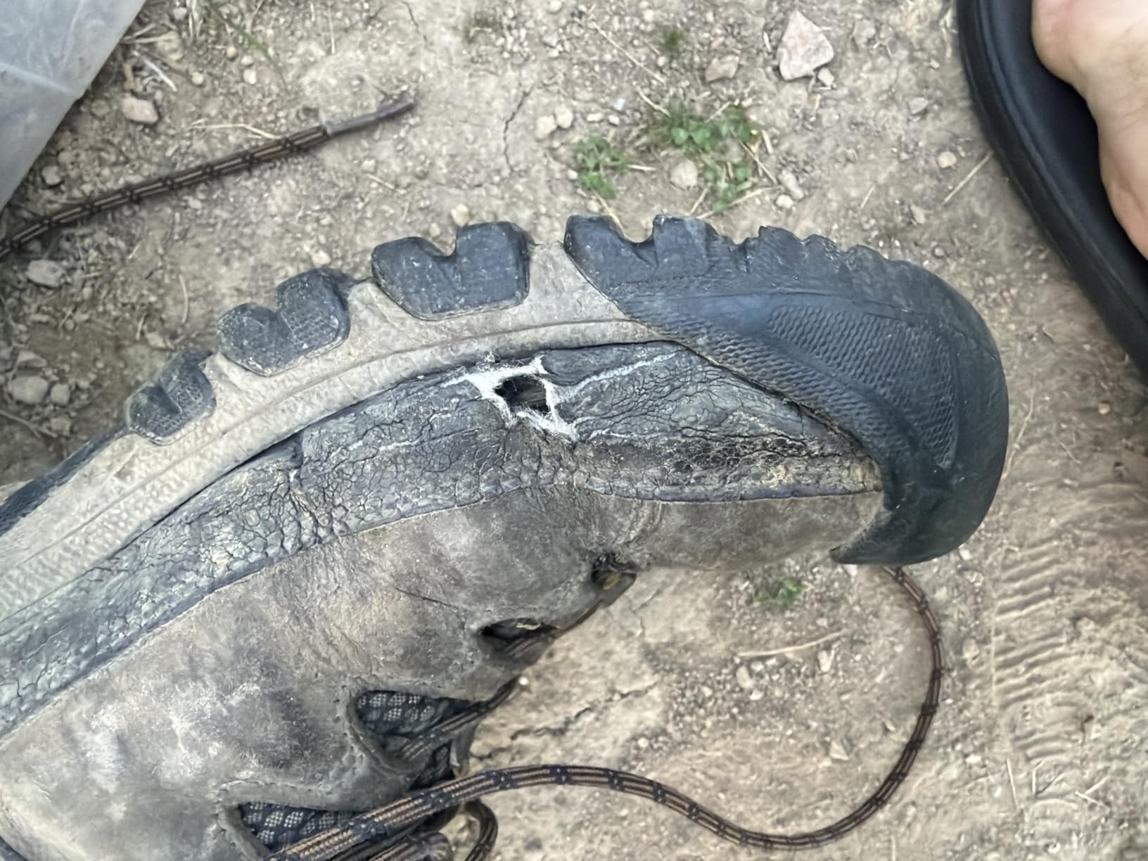 KEEN Men's Targhee III Mid Height Waterproof Hiking Boot customer photo 2