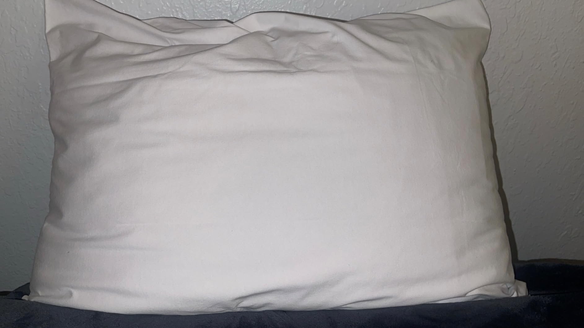 Set of 2 Standard Size SureGuard Pillow Protectors - 100% Waterproof, Bed Bug Proof, Hypoallergenic - Premium Zippered Cotton Covers - Smooth customer photo 2