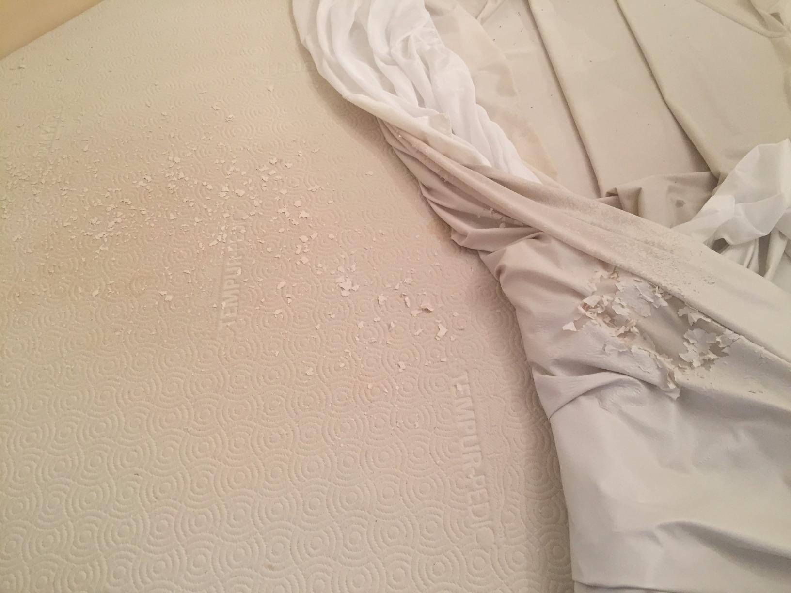 Tempur-Pedic Protect Waterproof Mattress Protector, Queen, White customer photo 1