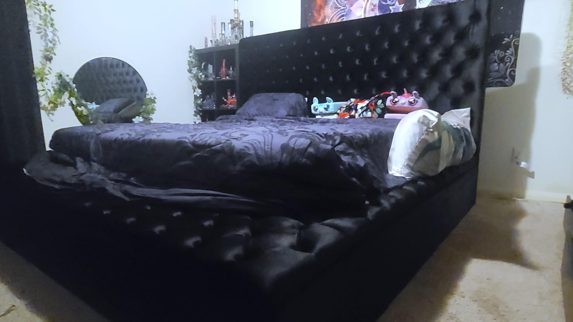 Meridian Furniture Bliss Collection Modern | Contemporary Velvet Upholstered Bed with Deep Button Tufting and Storage Compartments in Rails and Footboard, Black, Queen customer photo 2