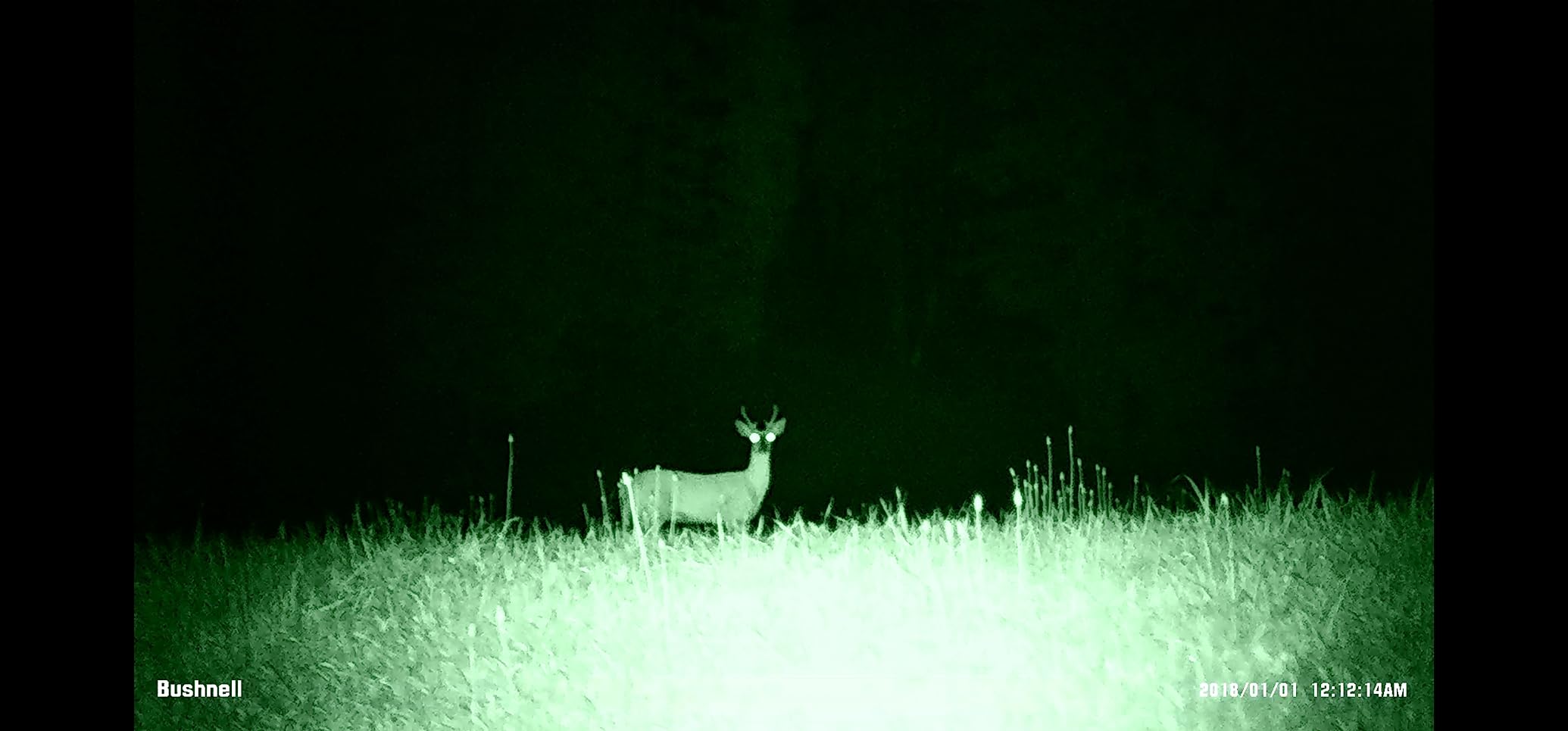 Bushnell Night Vision_Equinox Z2 Monocular customer photo 2