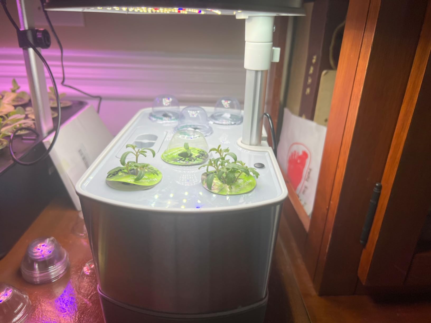 AeroGarden Harvest Elite, Stainless Steel customer photo 1