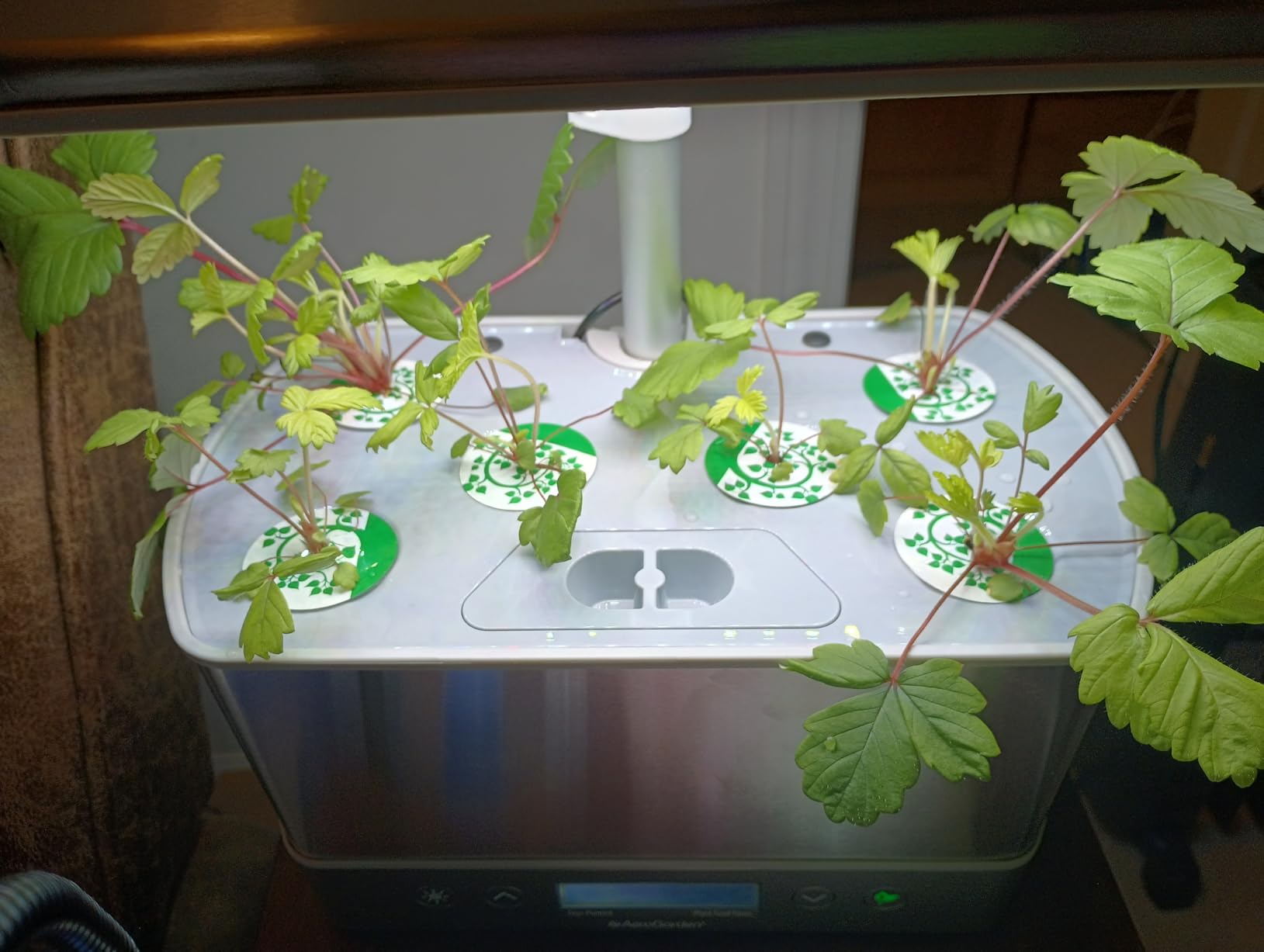 AeroGarden Harvest Elite, Stainless Steel customer photo 2