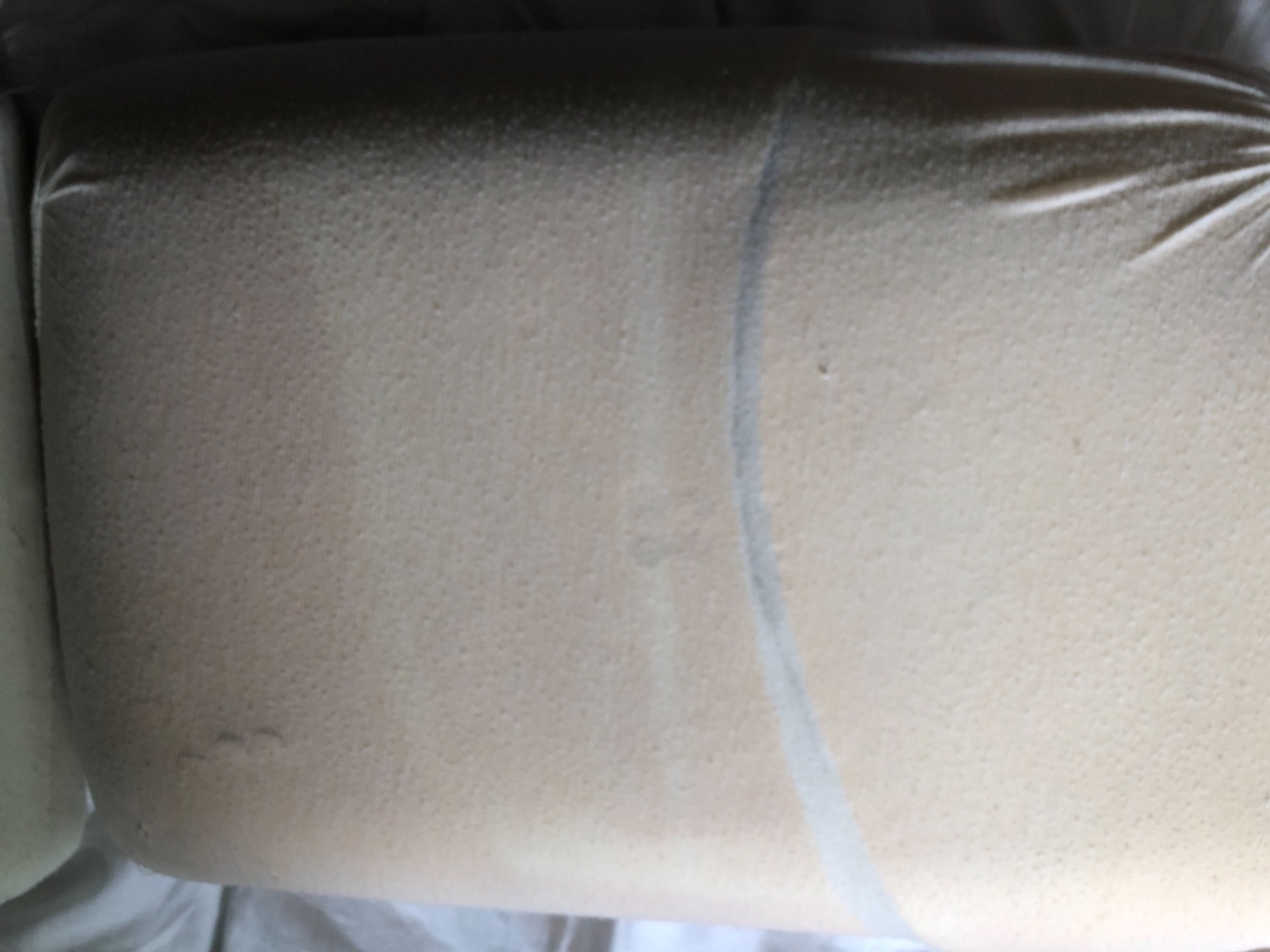 Tempur-Pedic TEMPUR-Cloud Pillow for Sleeping, Standard, White customer photo 1