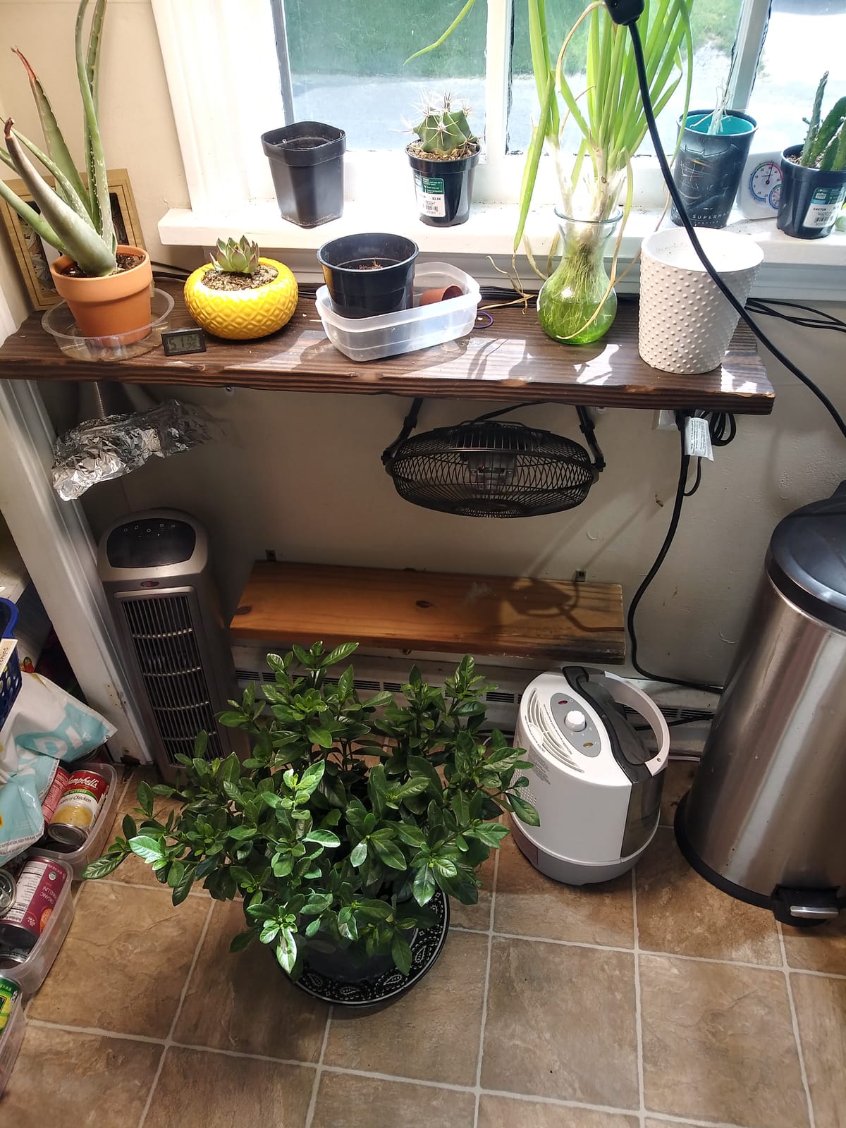 Inkbird Temperature and Humidity Controller ITC-608T Pre-Wired Dual Stage Thermostat 120VAC 15A 1800W ETL Listed Mushroom Greenhouse Homebrew customer photo 2