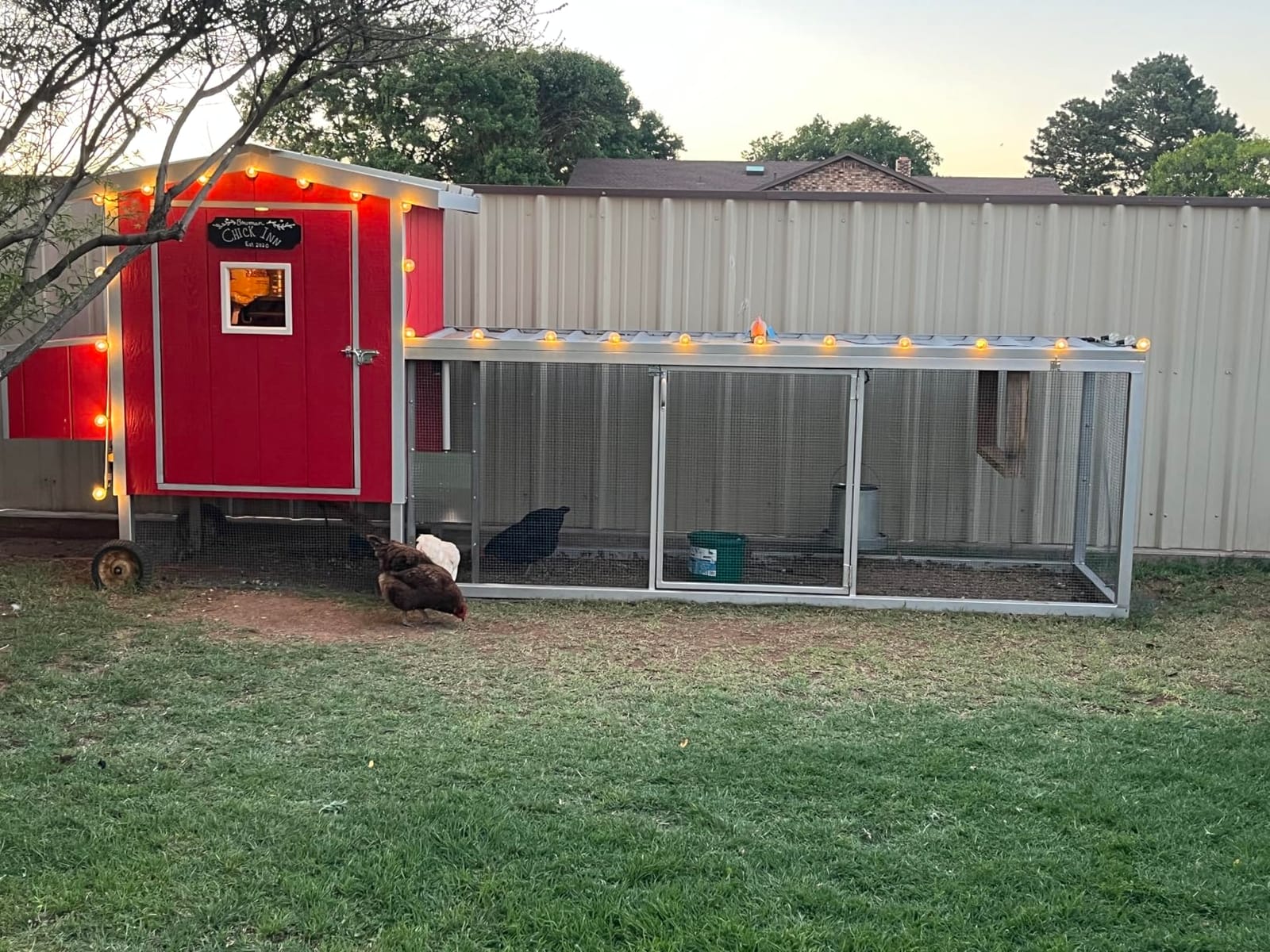 JVR Automatic Chicken Coop Door, Programmable Timer, Anti-Pinch, Aluminum customer photo 1