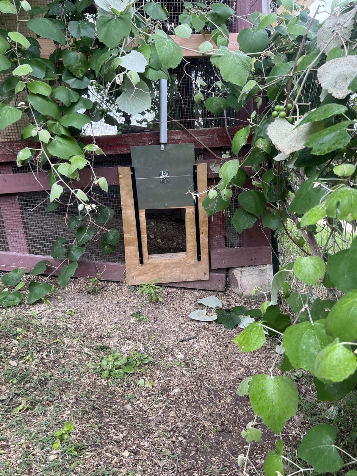 JVR Automatic Chicken Coop Door, Programmable Timer, Anti-Pinch, Aluminum customer photo 2