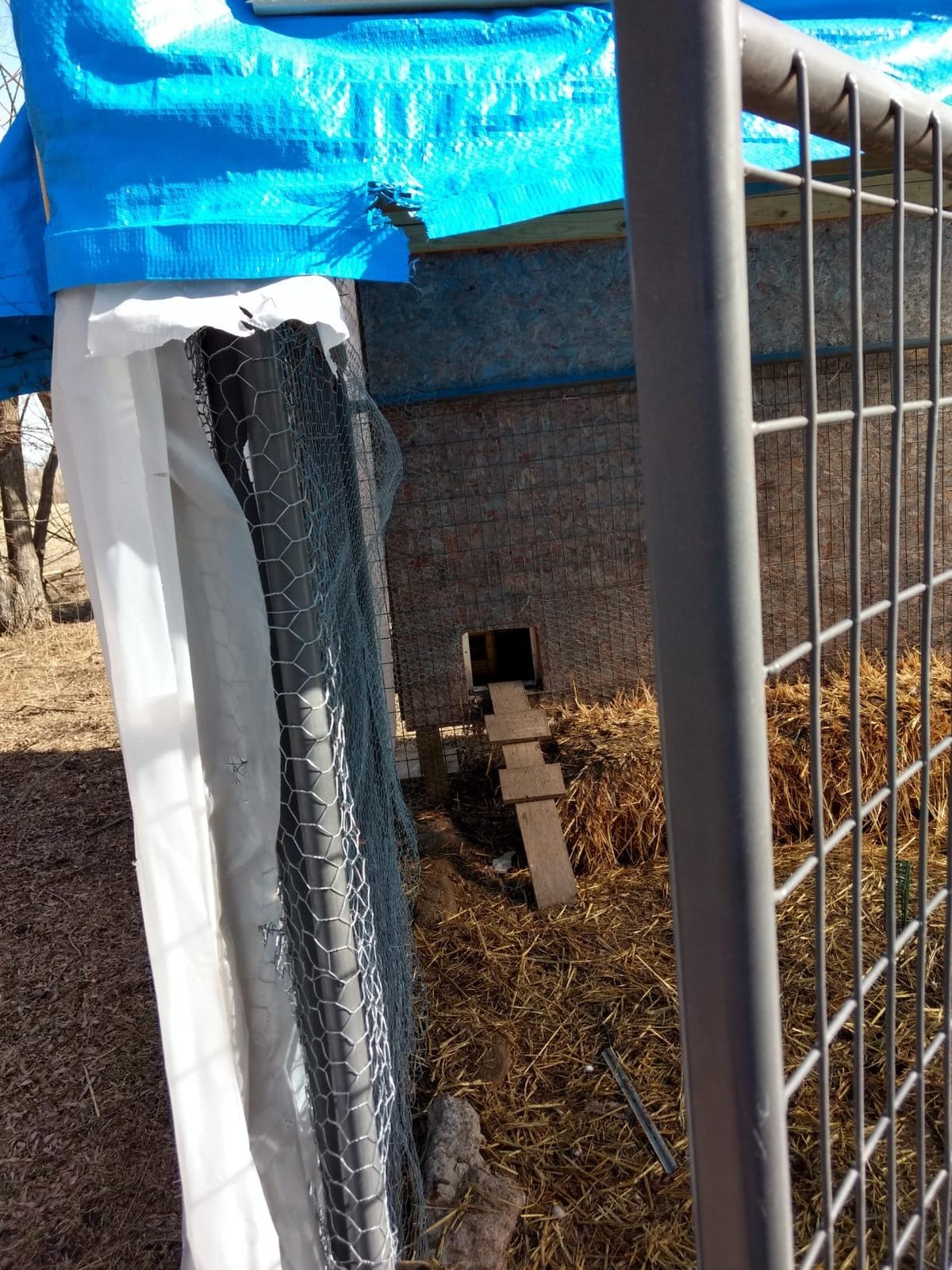 Opener with Motor & Timer (1 Year Warranty) | Heavy Duty | Made USA | Auto Pop Door Opener | Chicken Coop Accessories | Metal customer photo 1