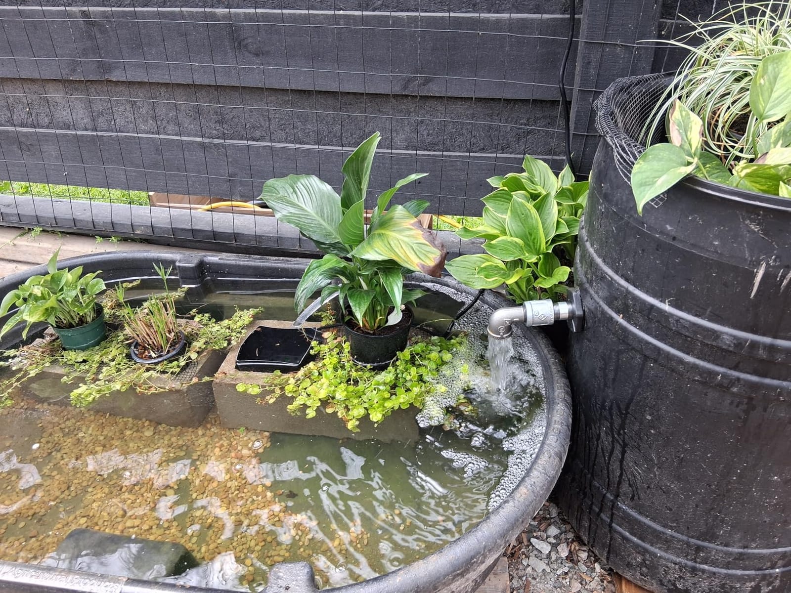 VIVOSUN 800GPH Submersible Fountain Water Pump for Pond, Aquarium, Statuary customer photo 1